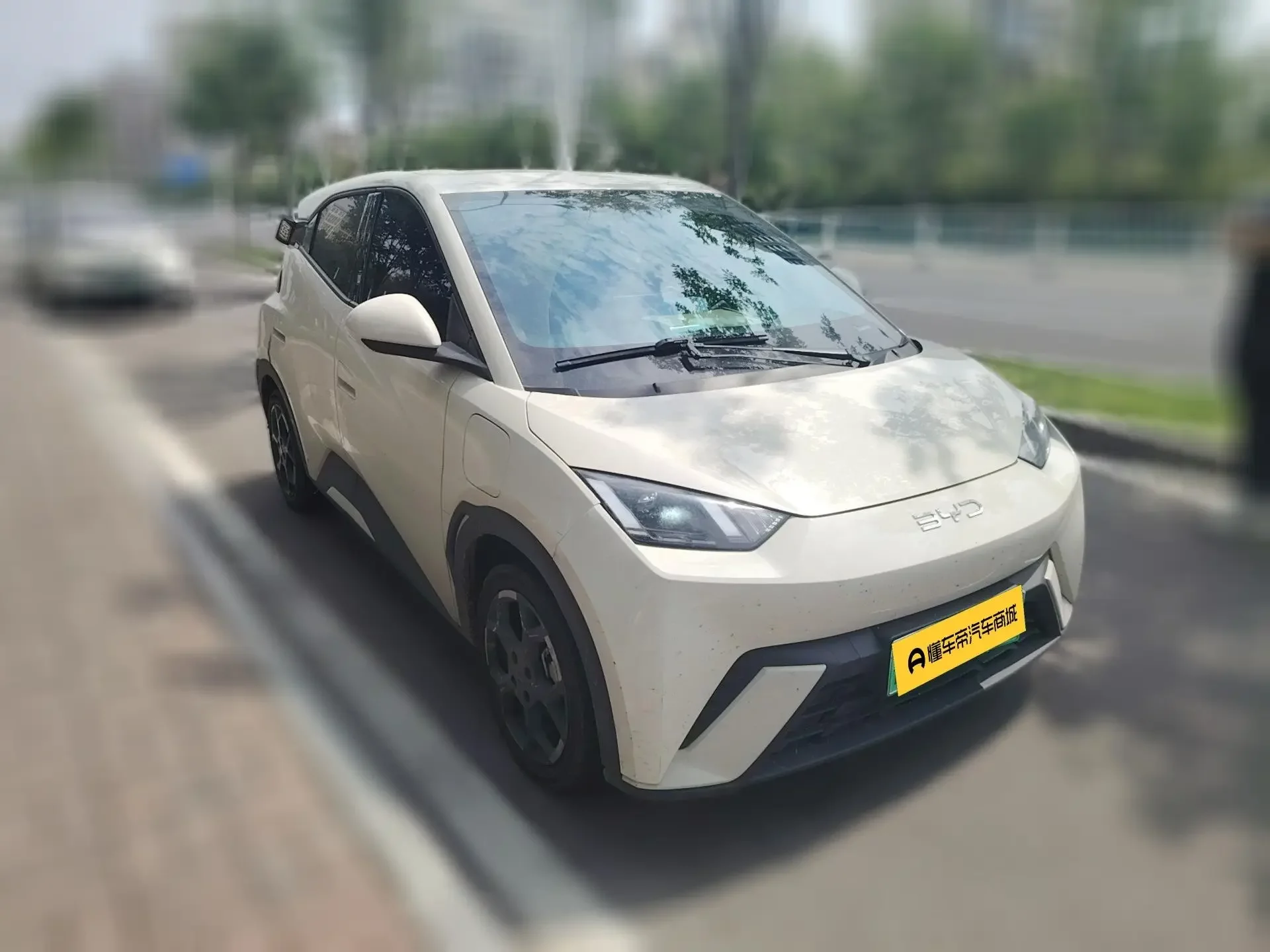 BYD seagull