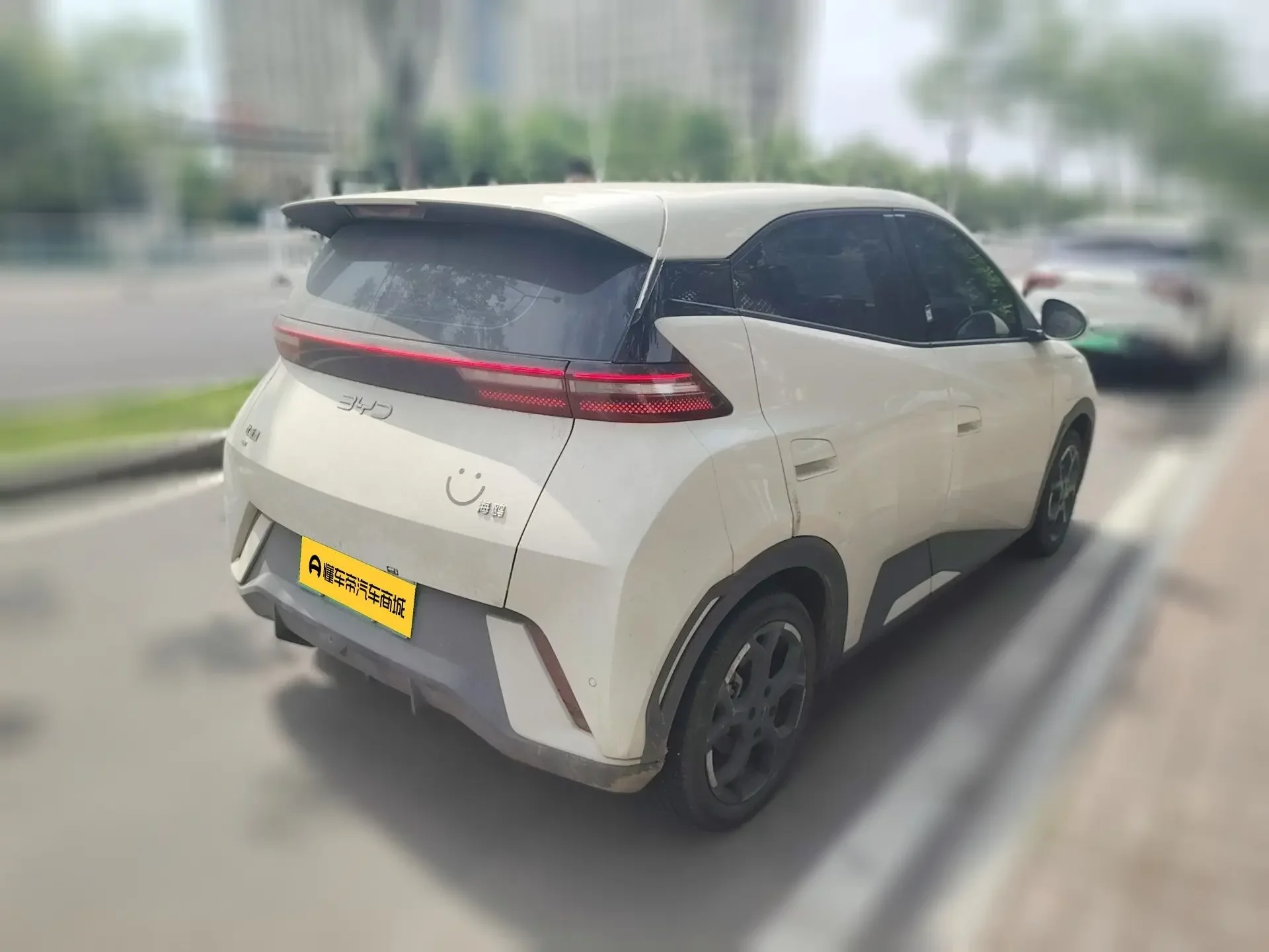 BYD seagull