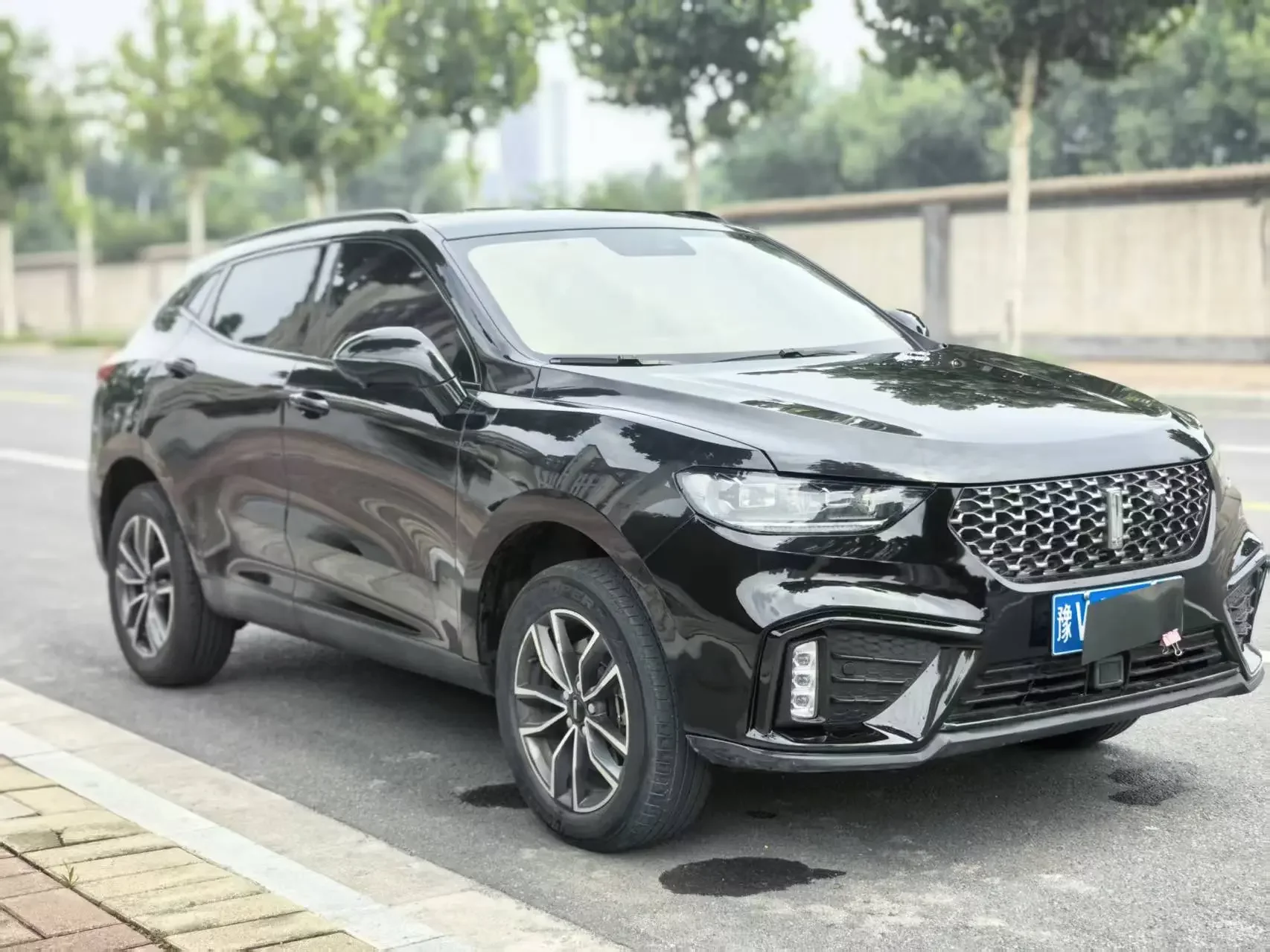 Wey Wei brand VV5