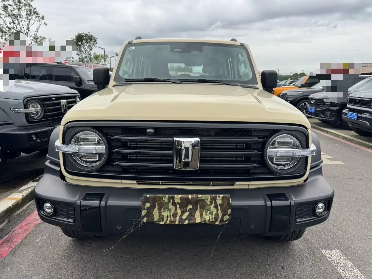 Tank 300