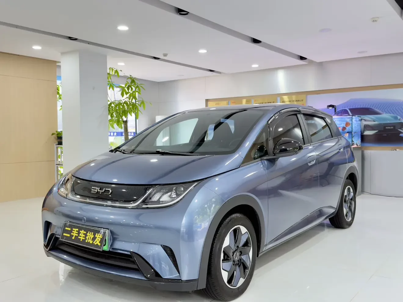 BYD dolphin
