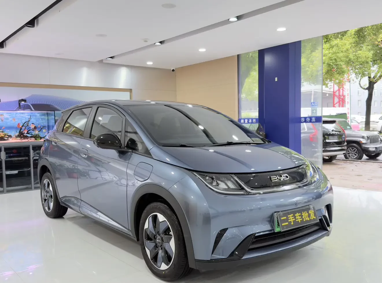 BYD dolphin