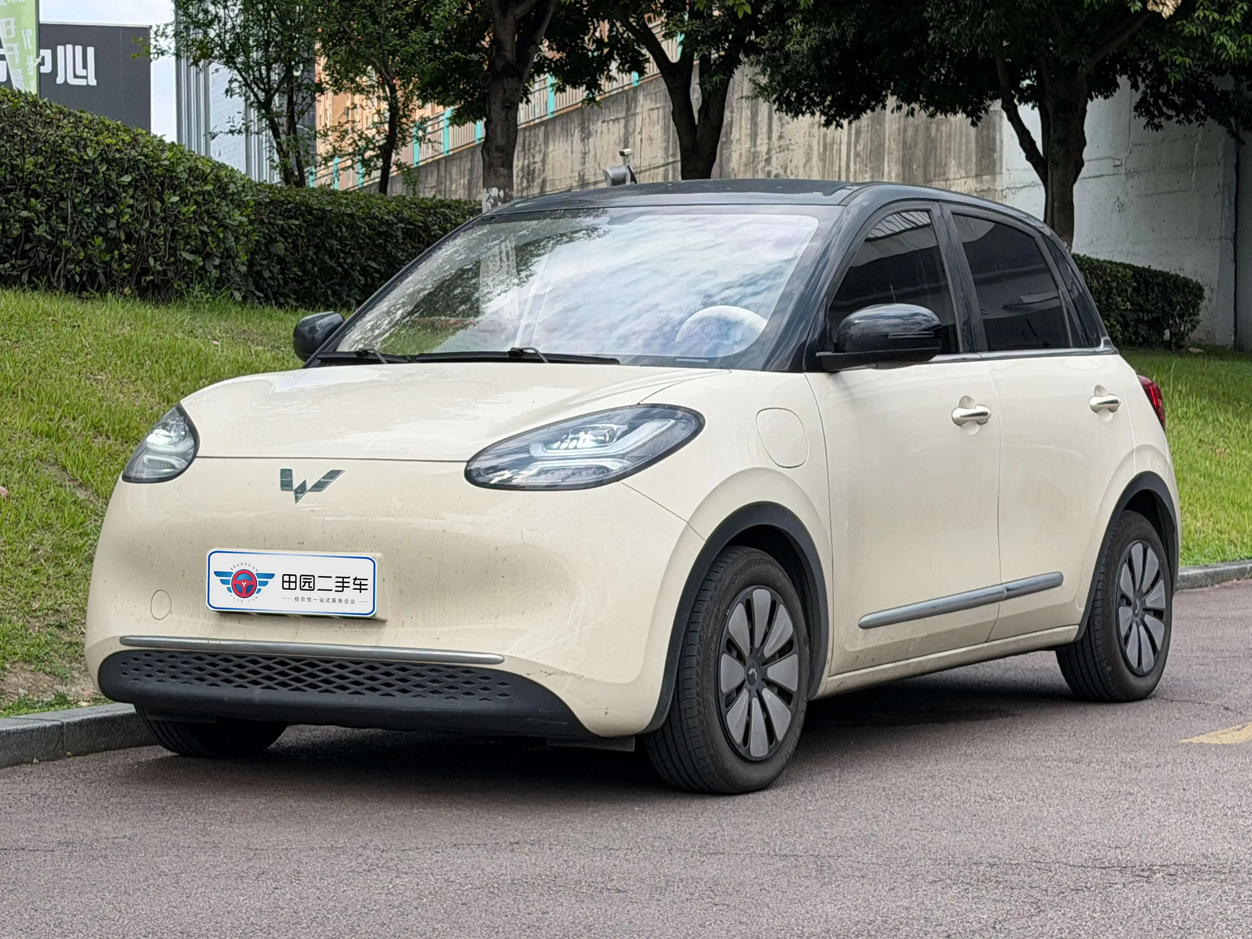 Wuling Bingo