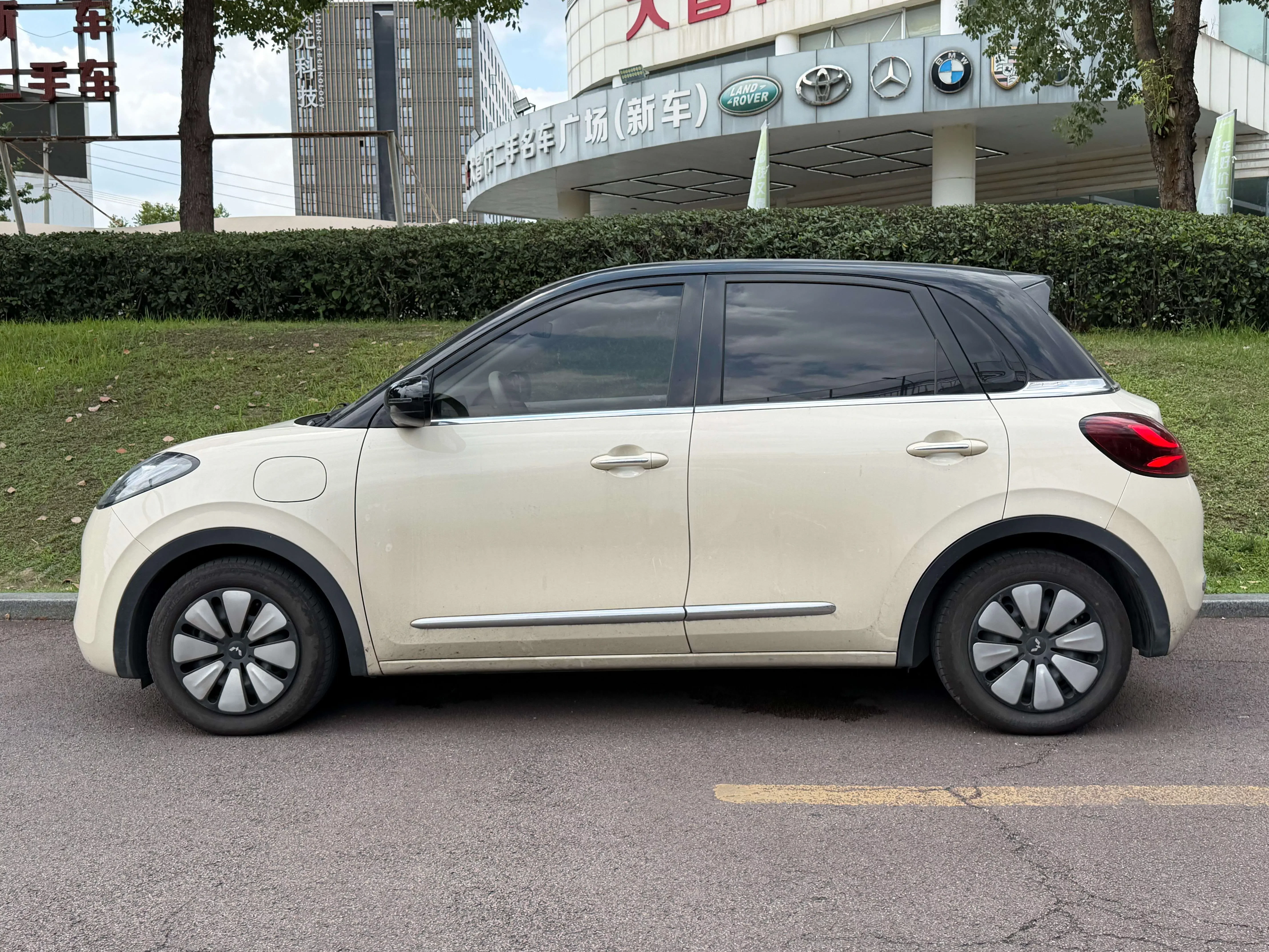 Wuling Bingo