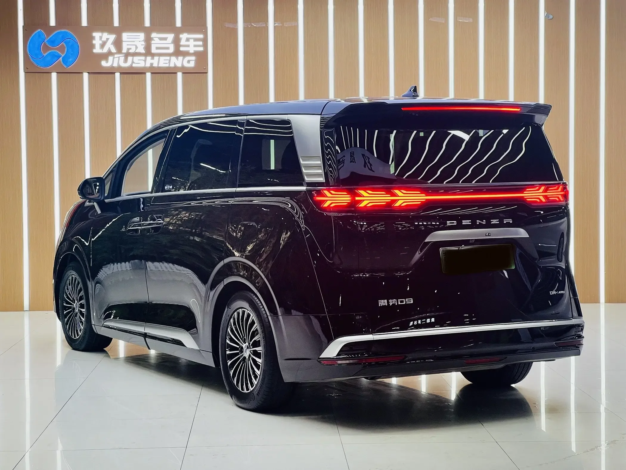 Denza D9 DM