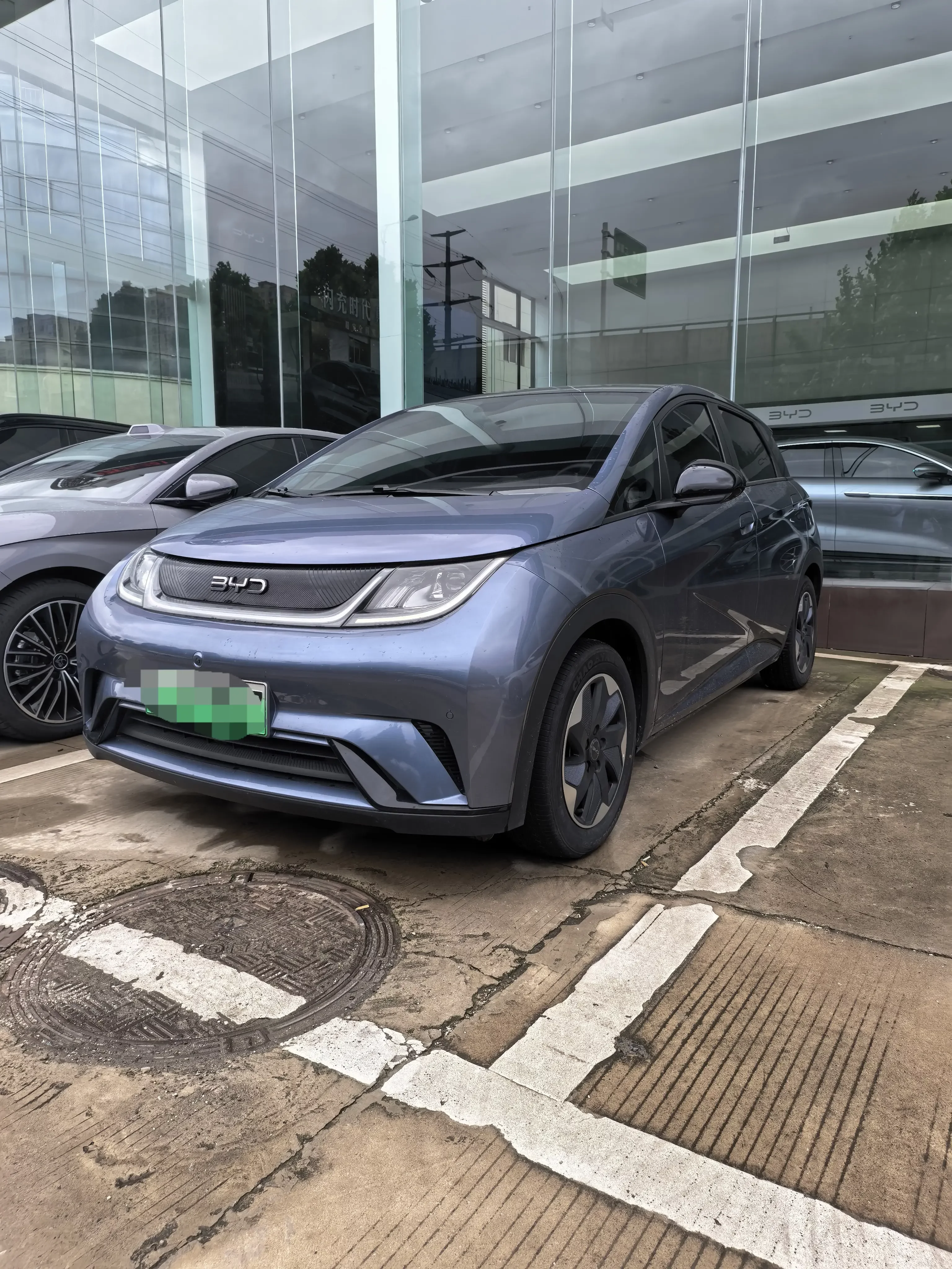 BYD dolphin