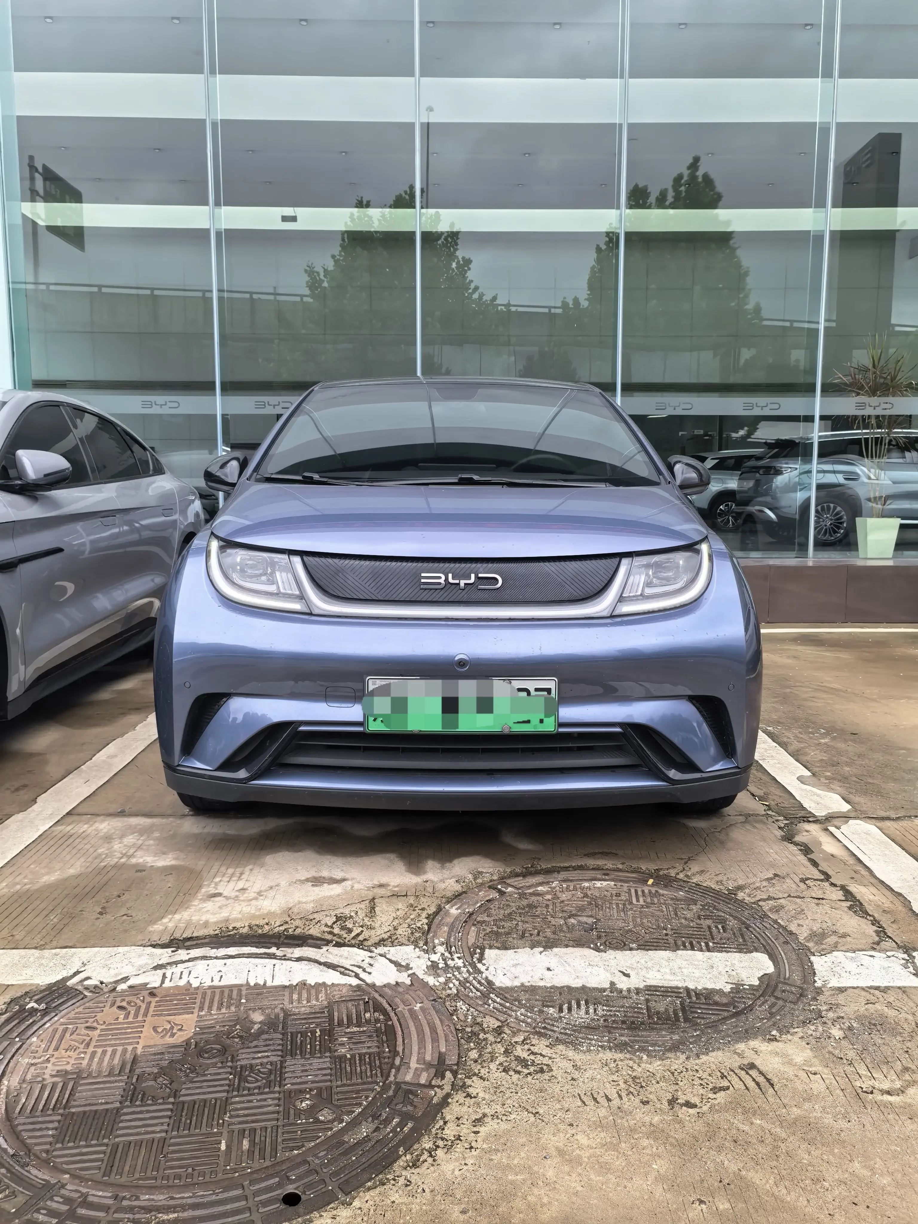 BYD dolphin