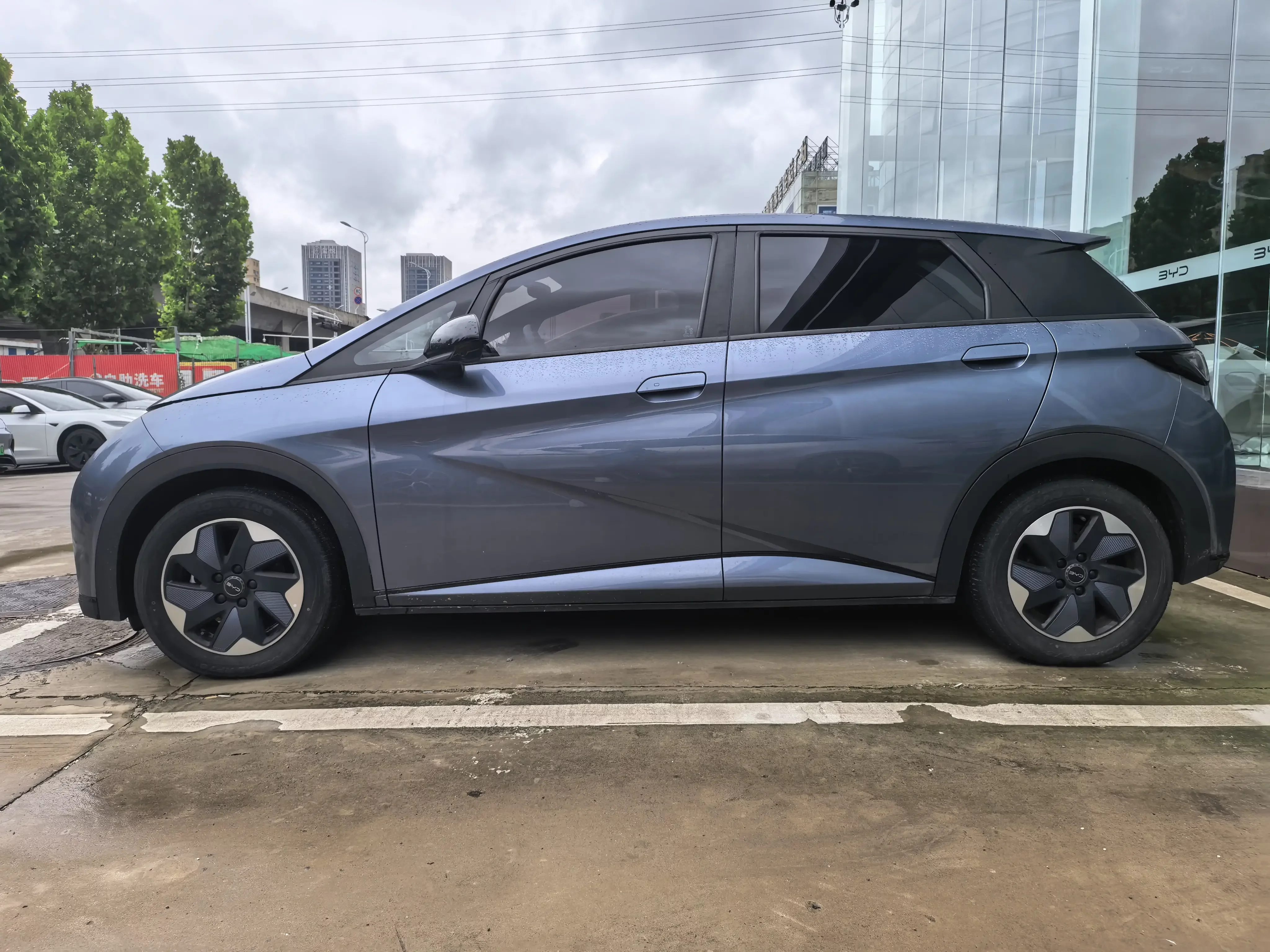 BYD dolphin