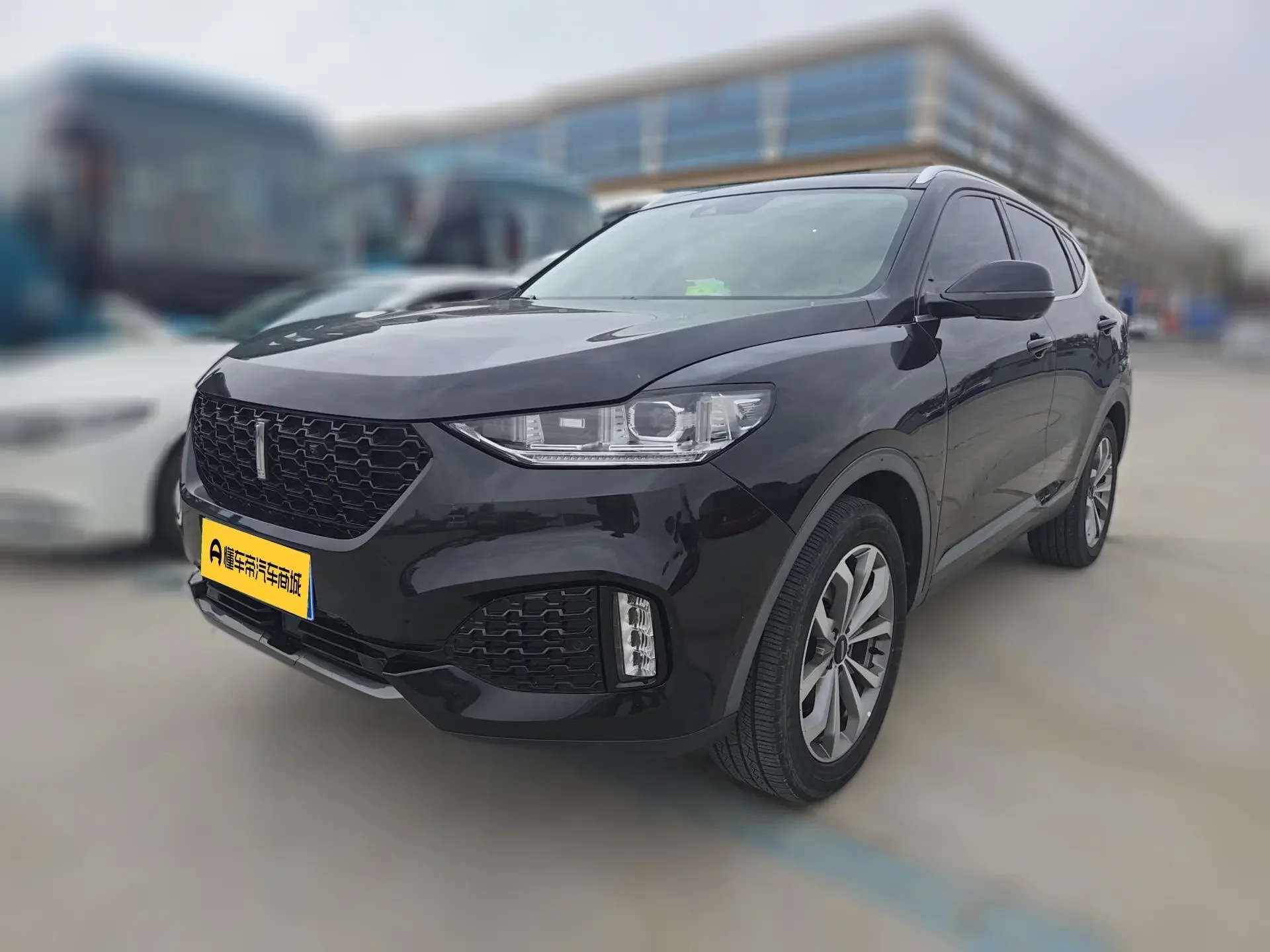 Wey Wei brand VV6