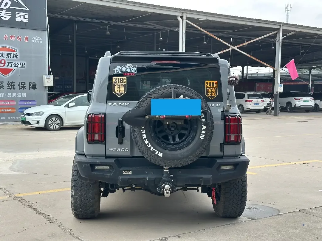 Tank 300