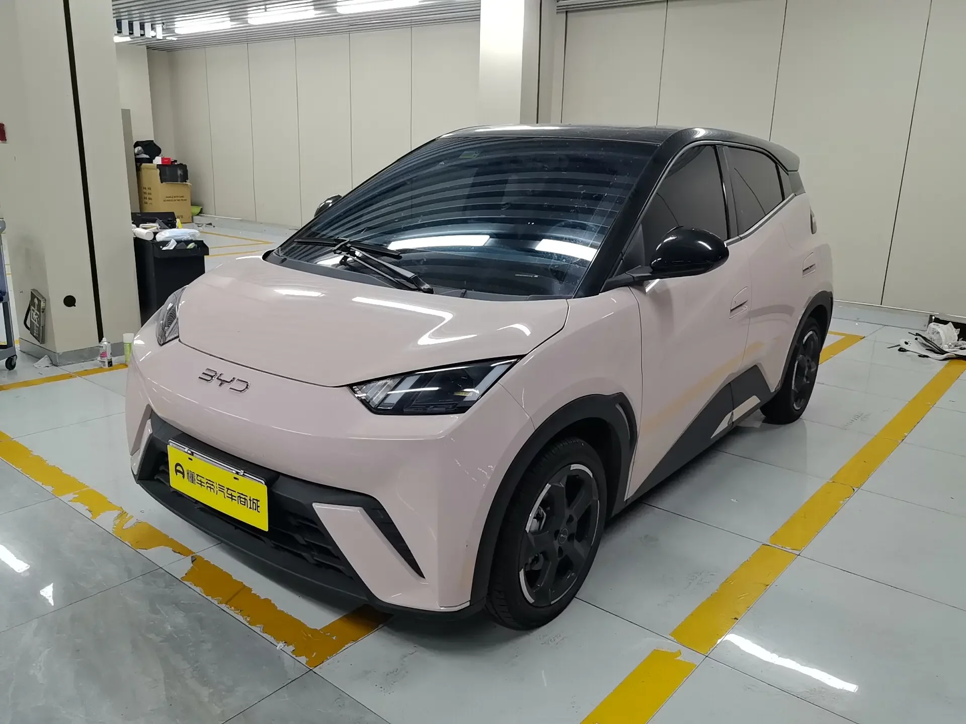 BYD seagull