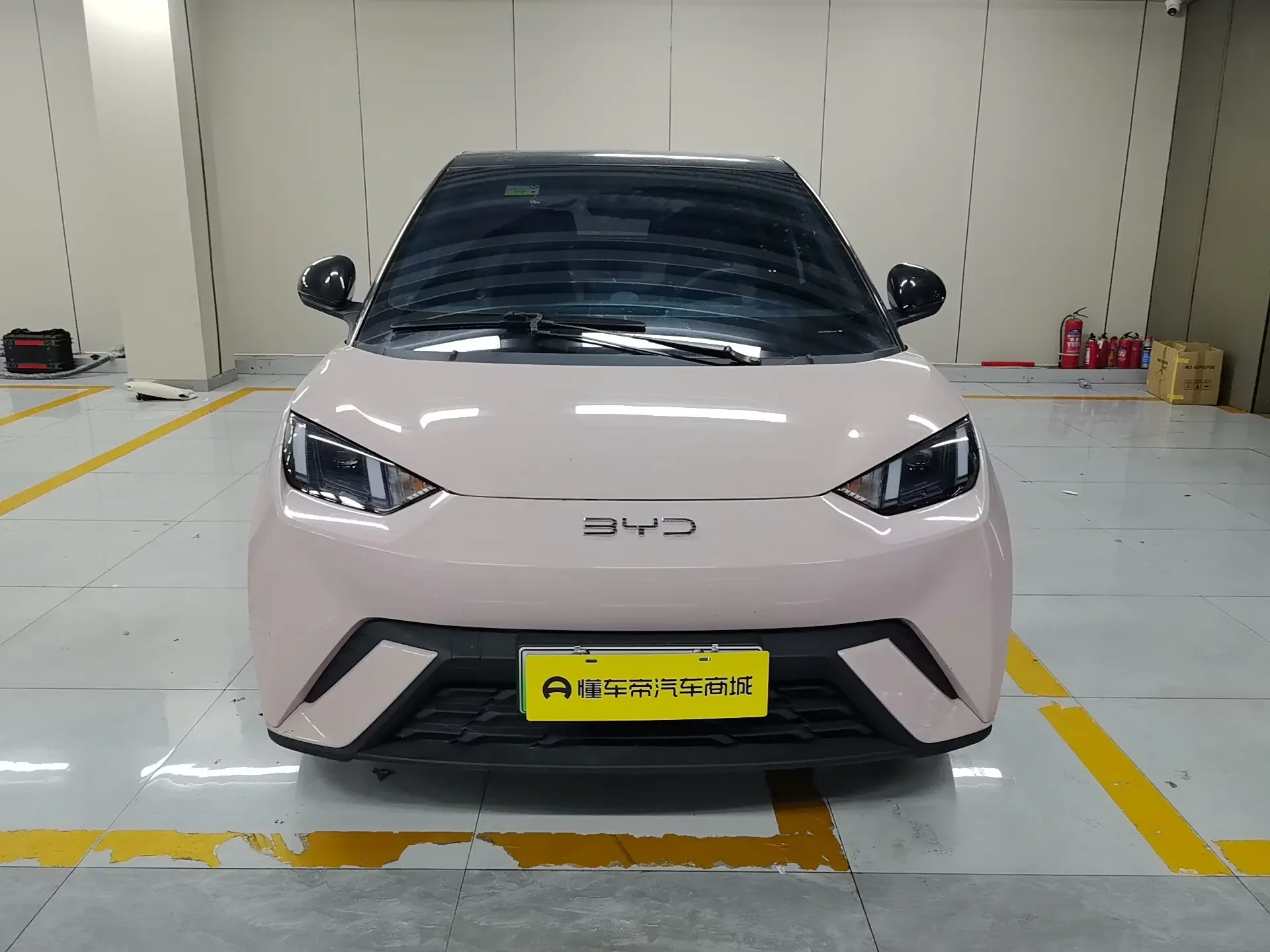 BYD seagull