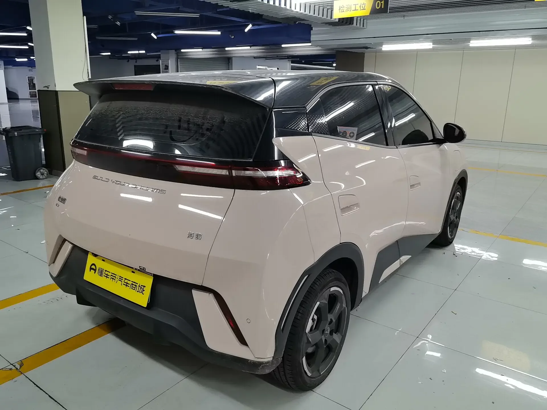BYD seagull
