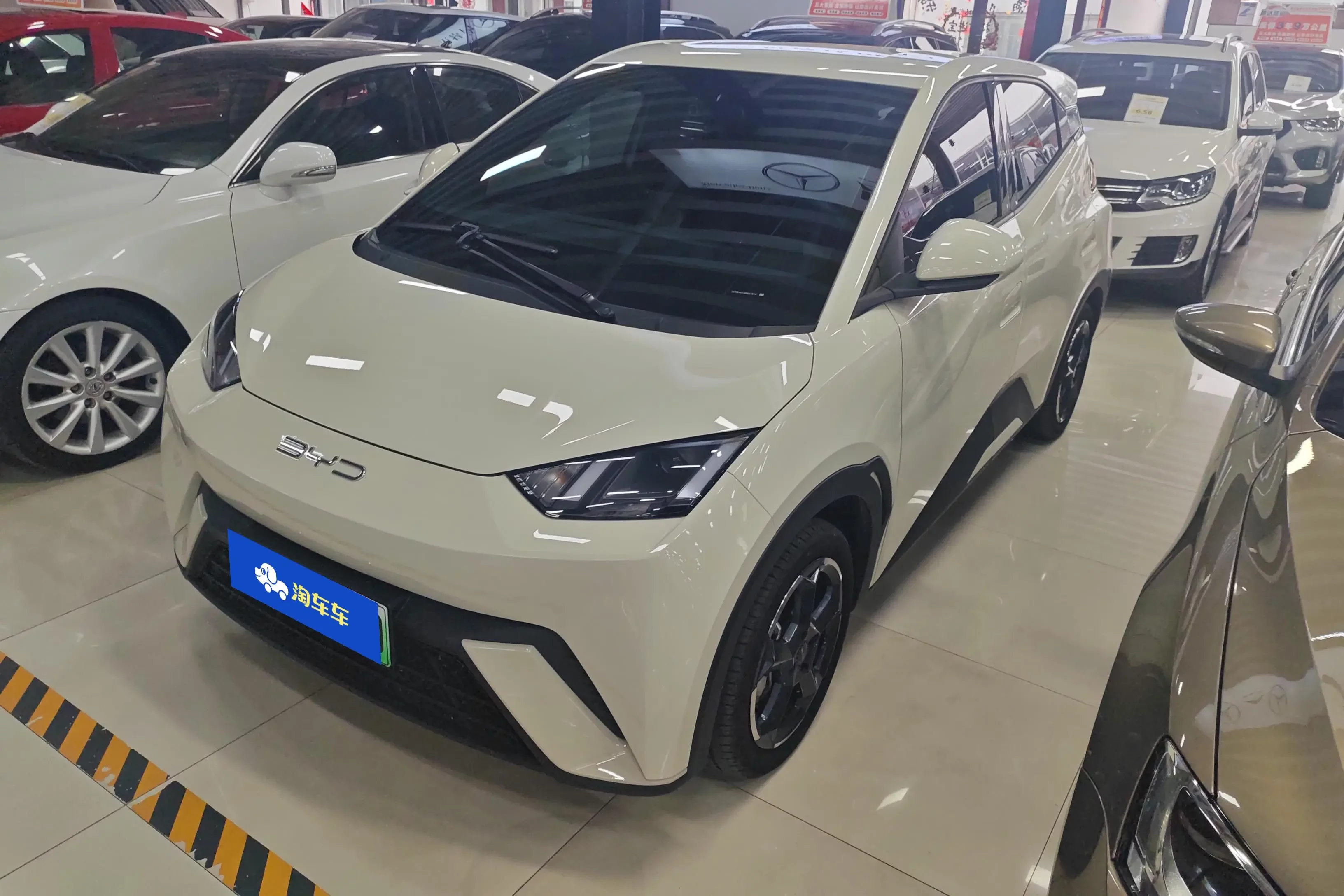 BYD seagull