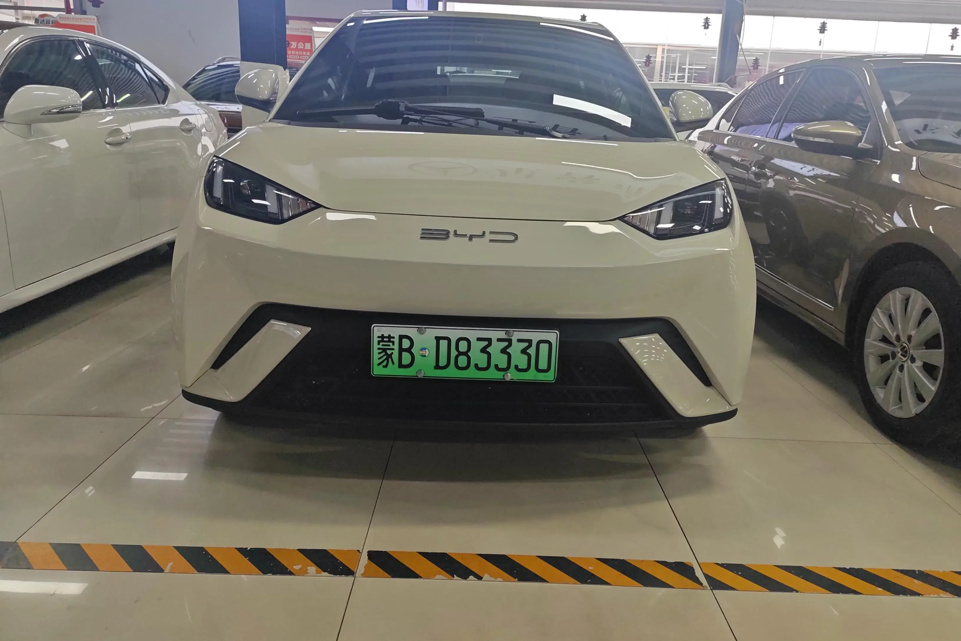 BYD seagull