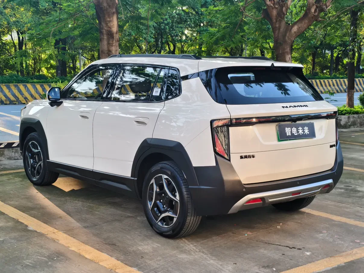 Dongfeng Nano 06