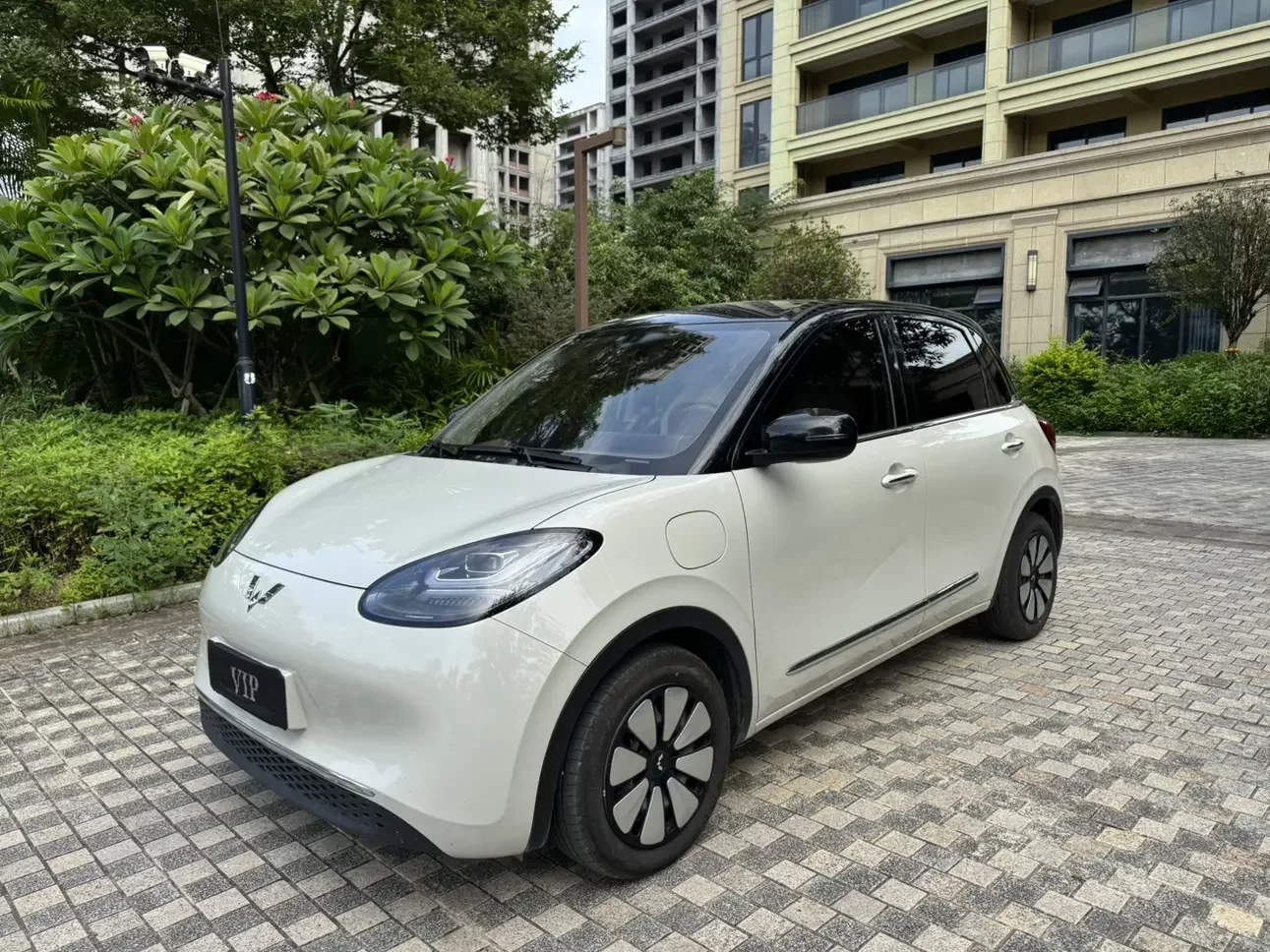 Wuling Bingo