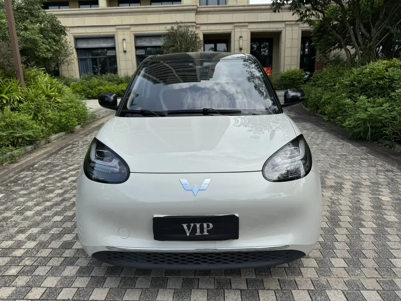 Wuling Bingo
