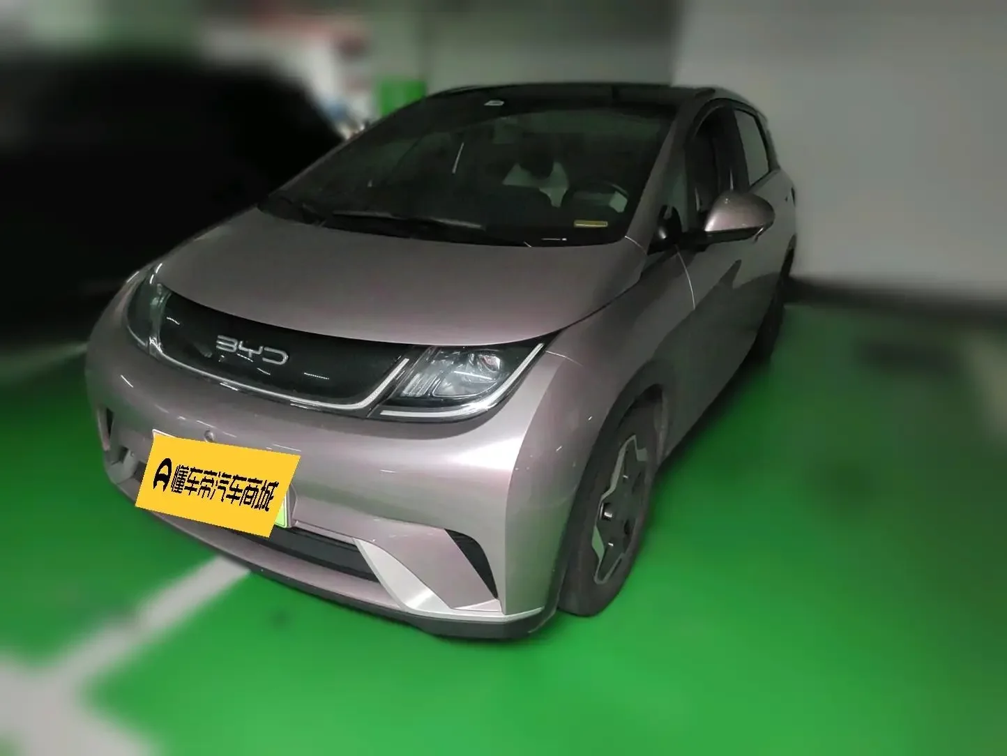 BYD dolphin