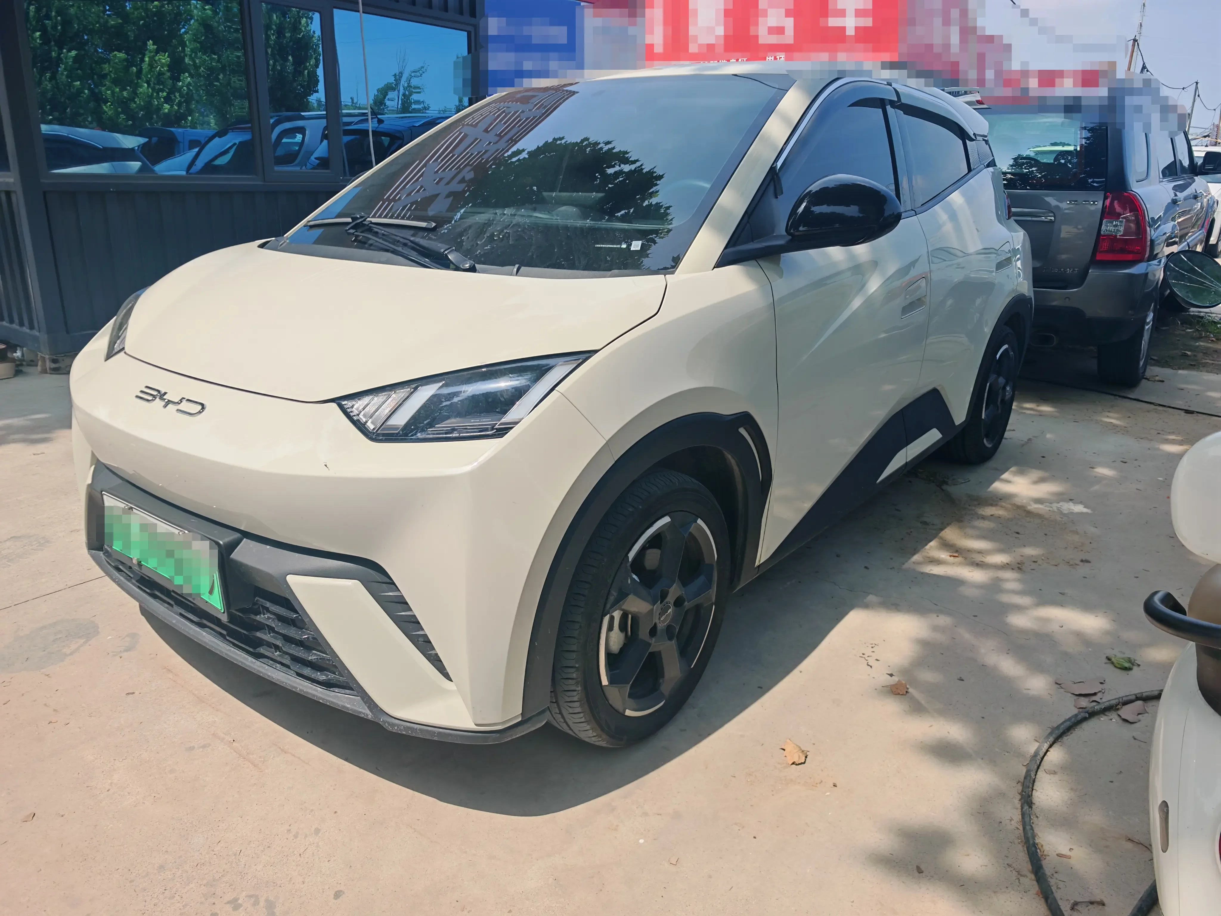 BYD seagull