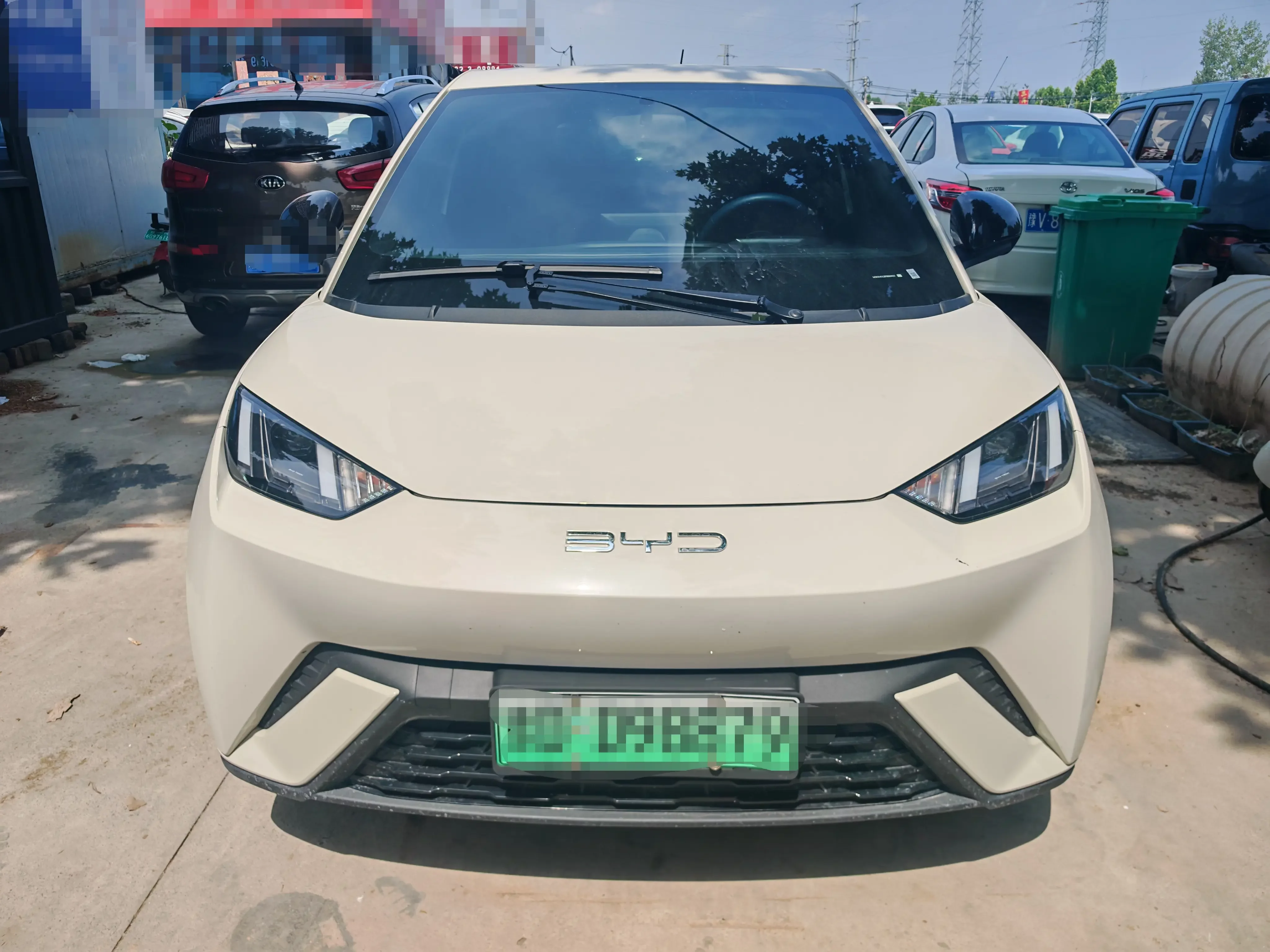 BYD seagull
