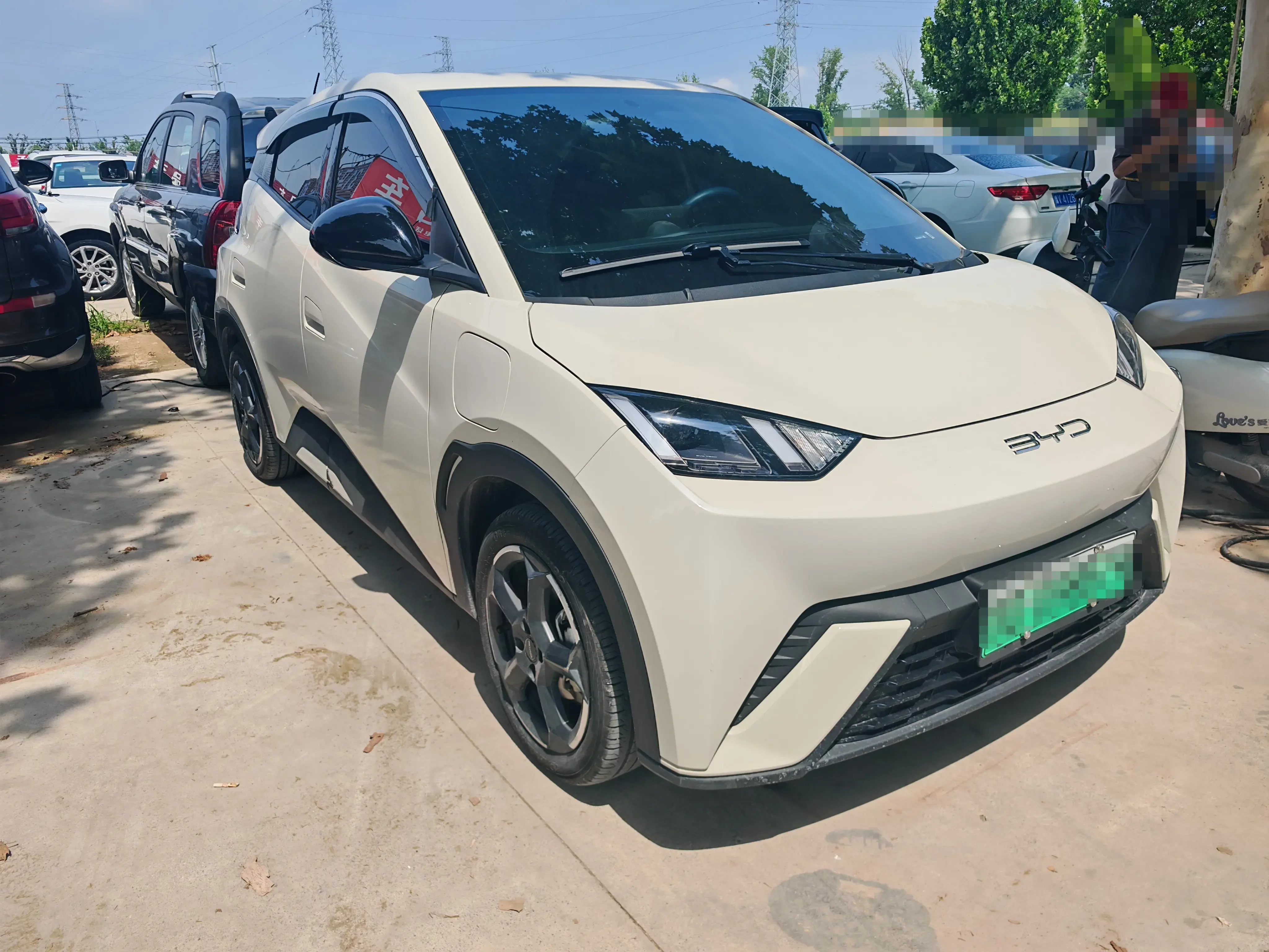 BYD seagull