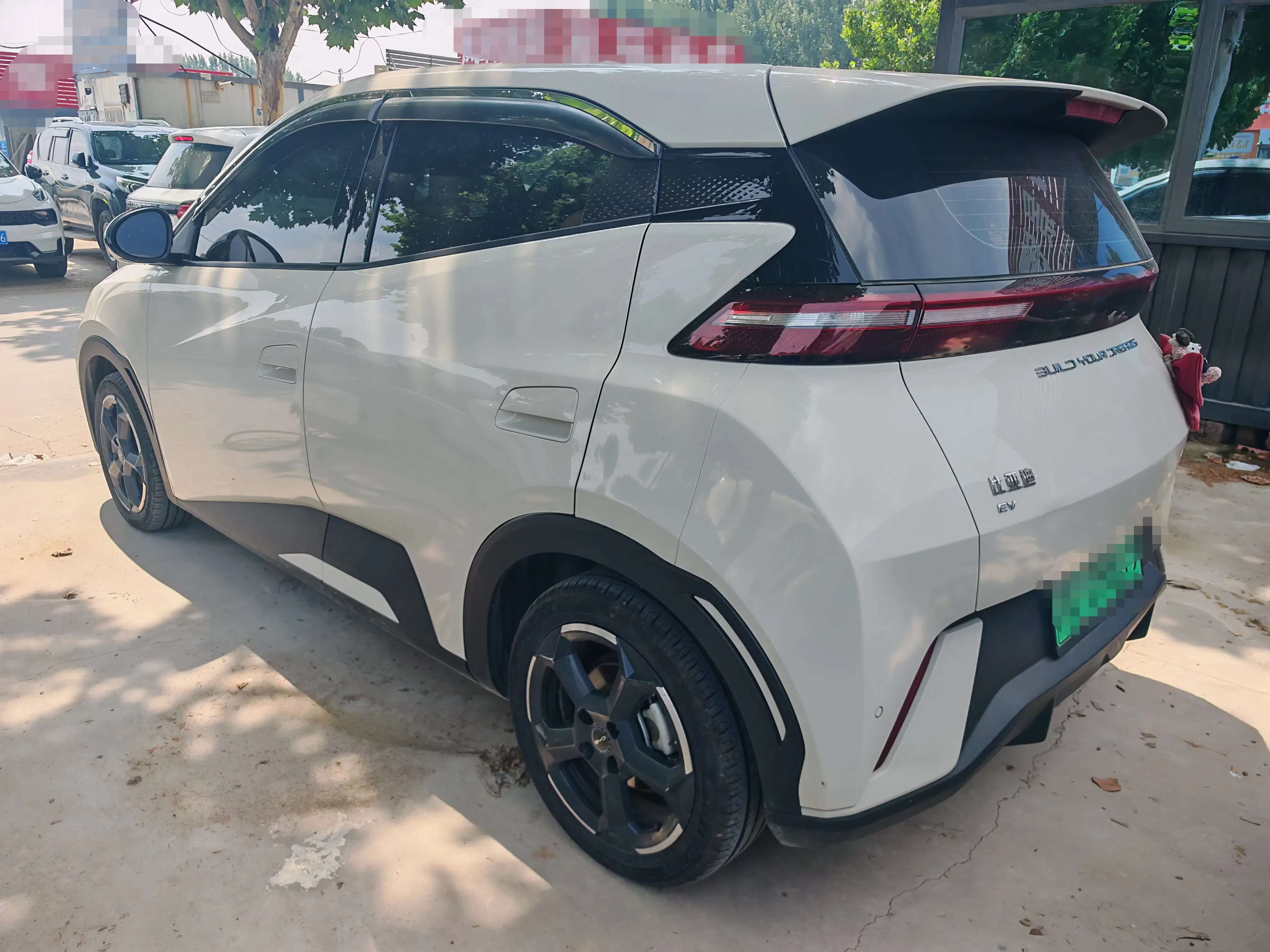 BYD seagull