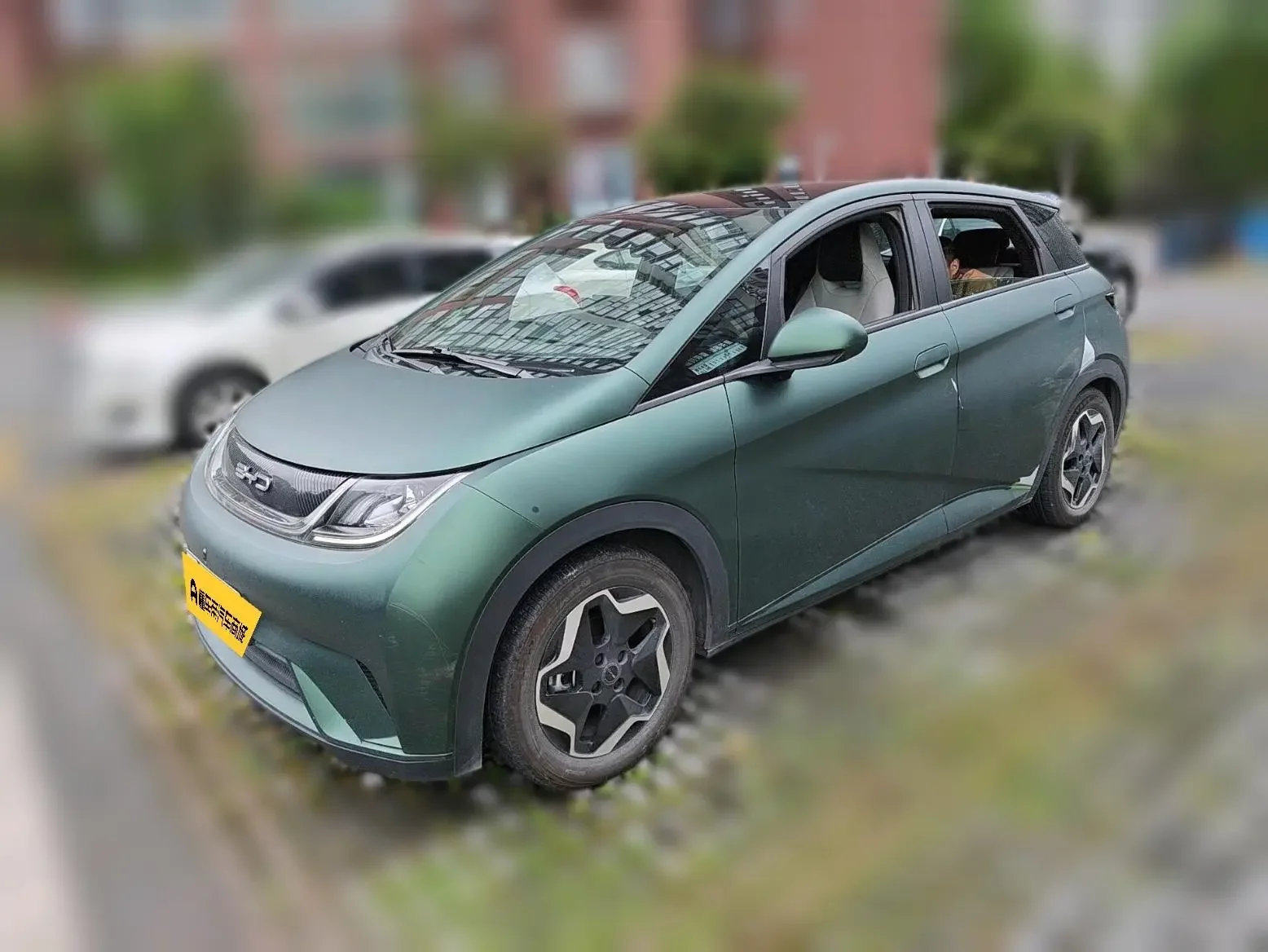 BYD dolphin