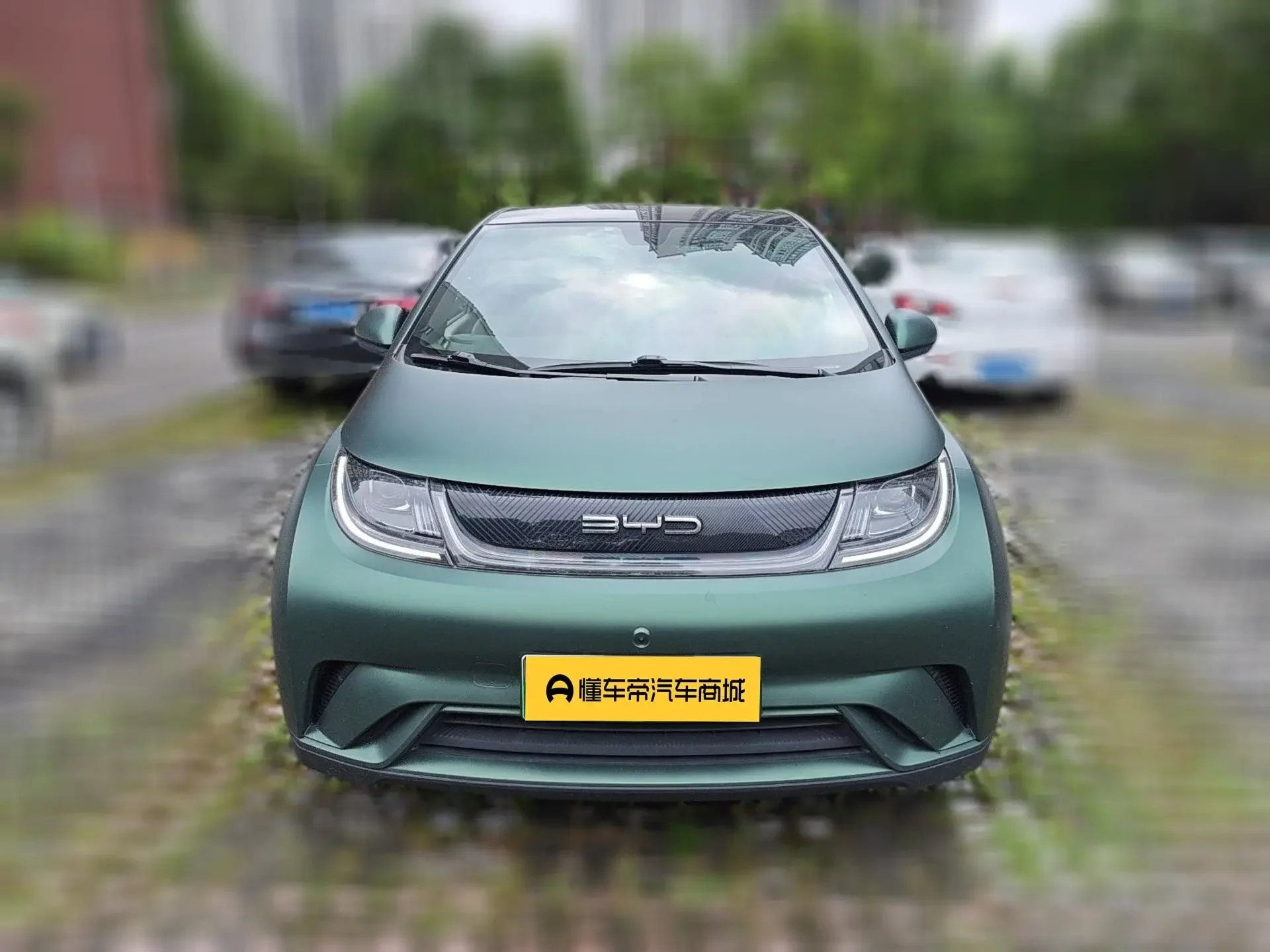 BYD dolphin