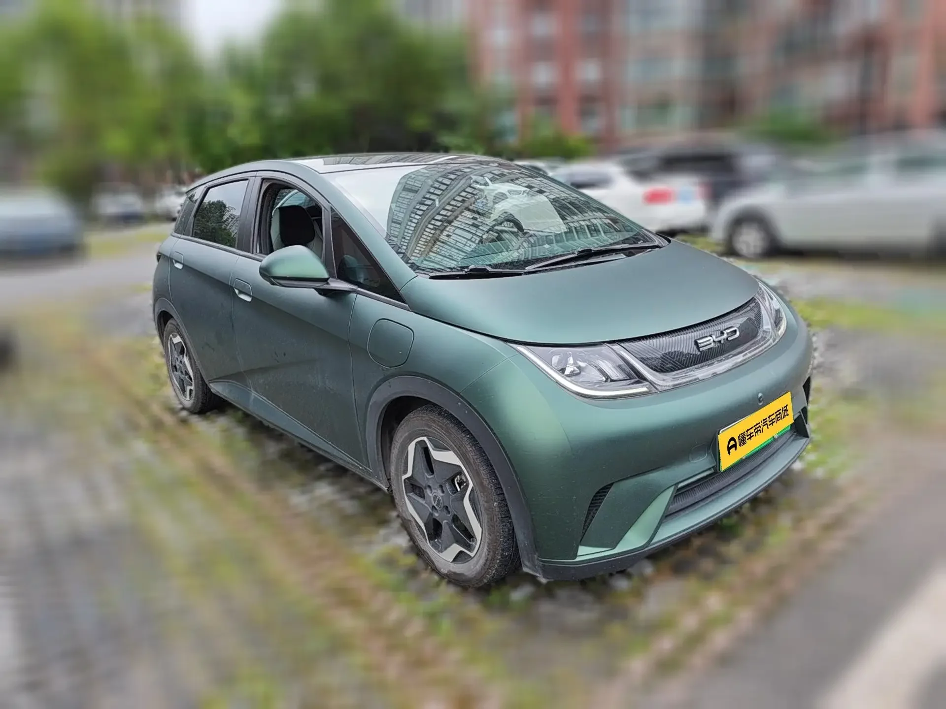 BYD dolphin