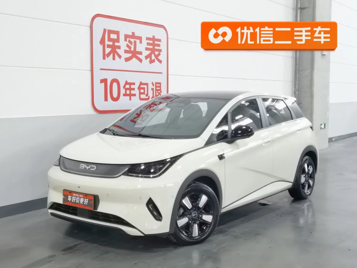 BYD dolphin