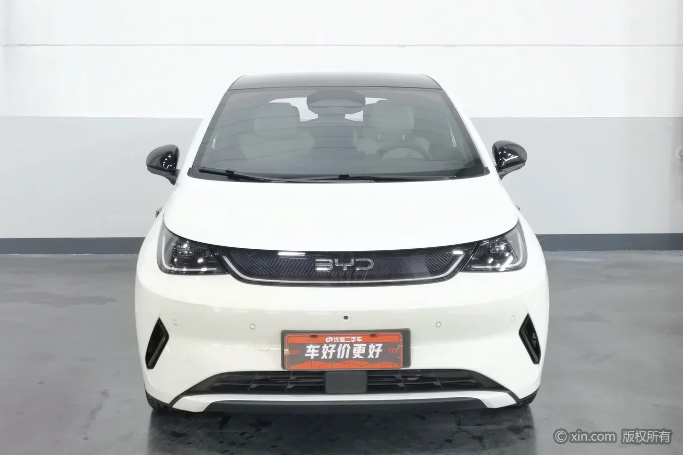 BYD dolphin