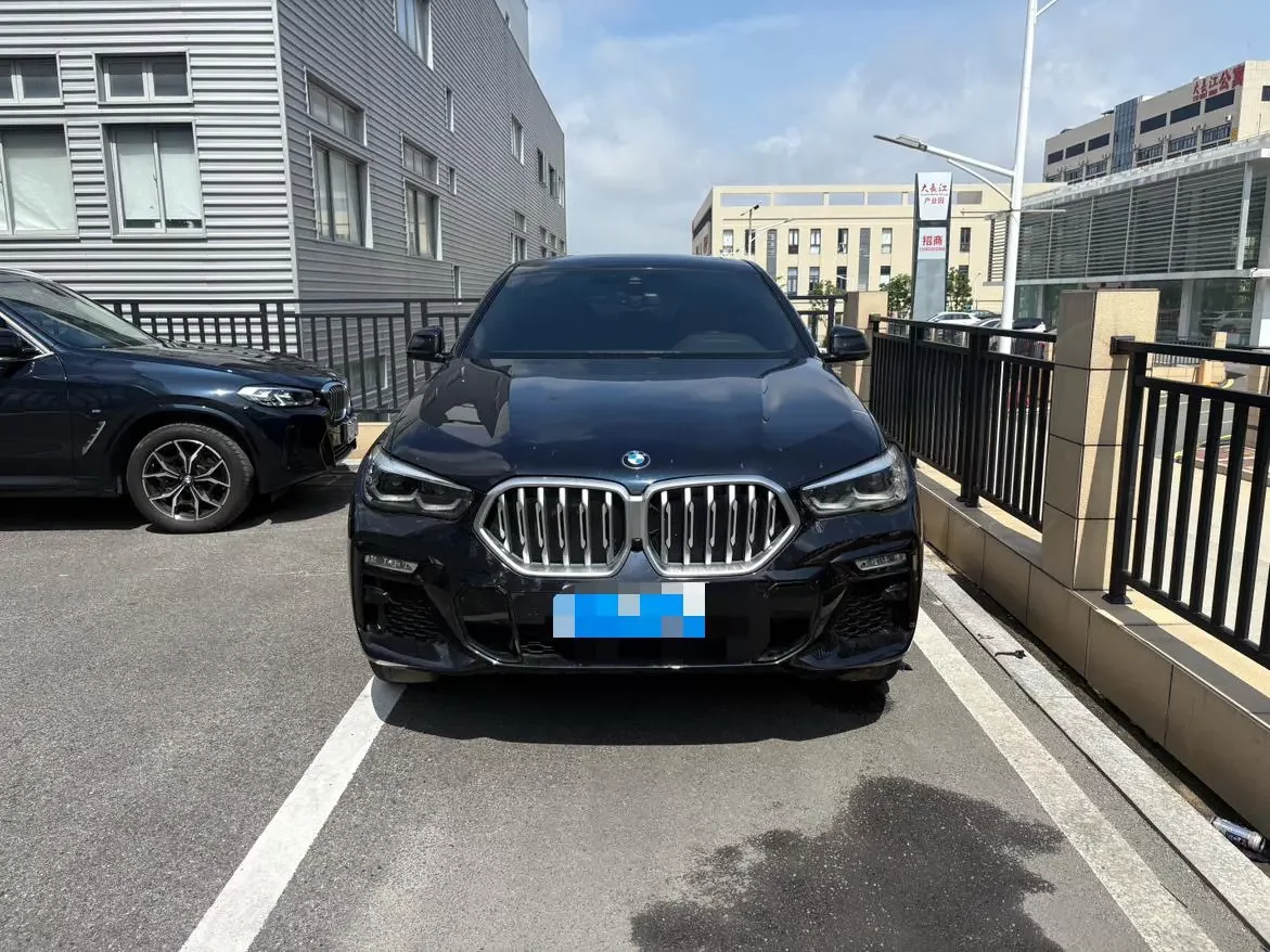 BMW X6