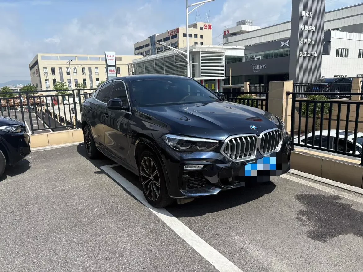 BMW X6