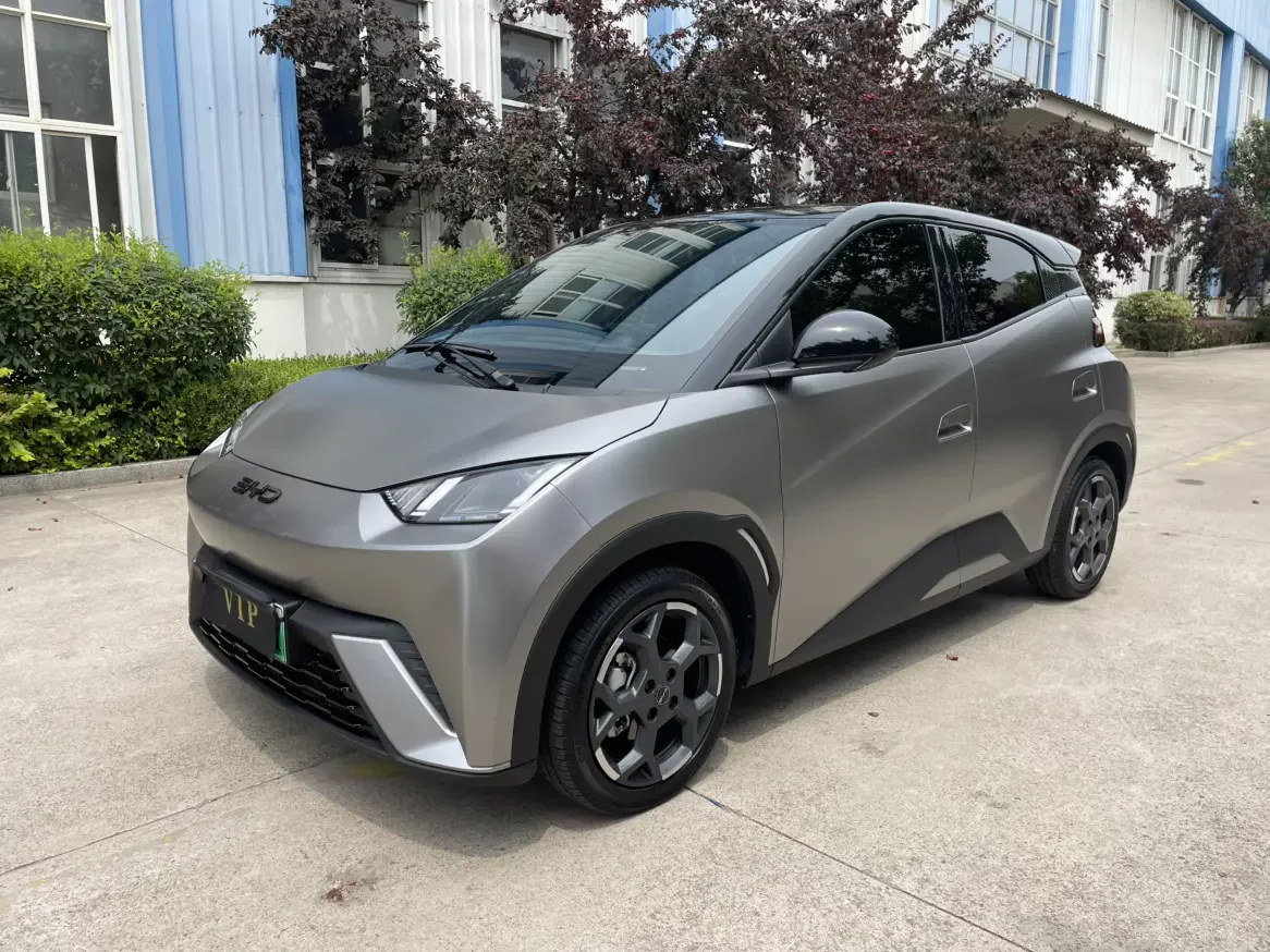 BYD seagull