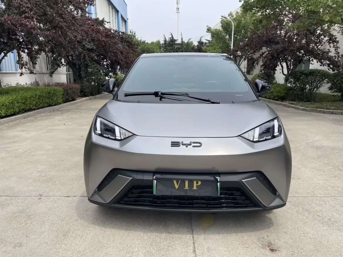 BYD seagull