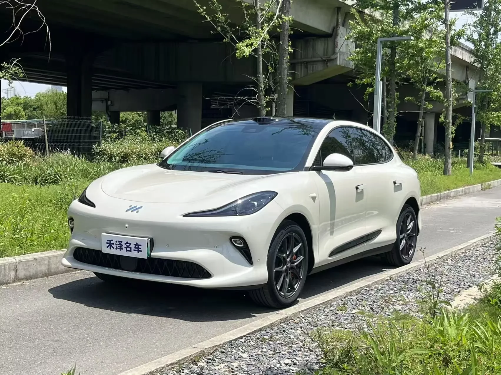 Zhiji LS6  из Китая