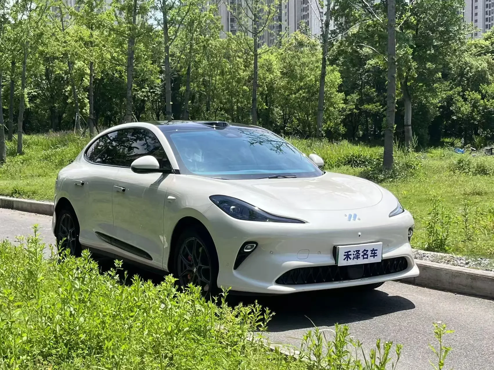 Zhiji LS6  из Китая
