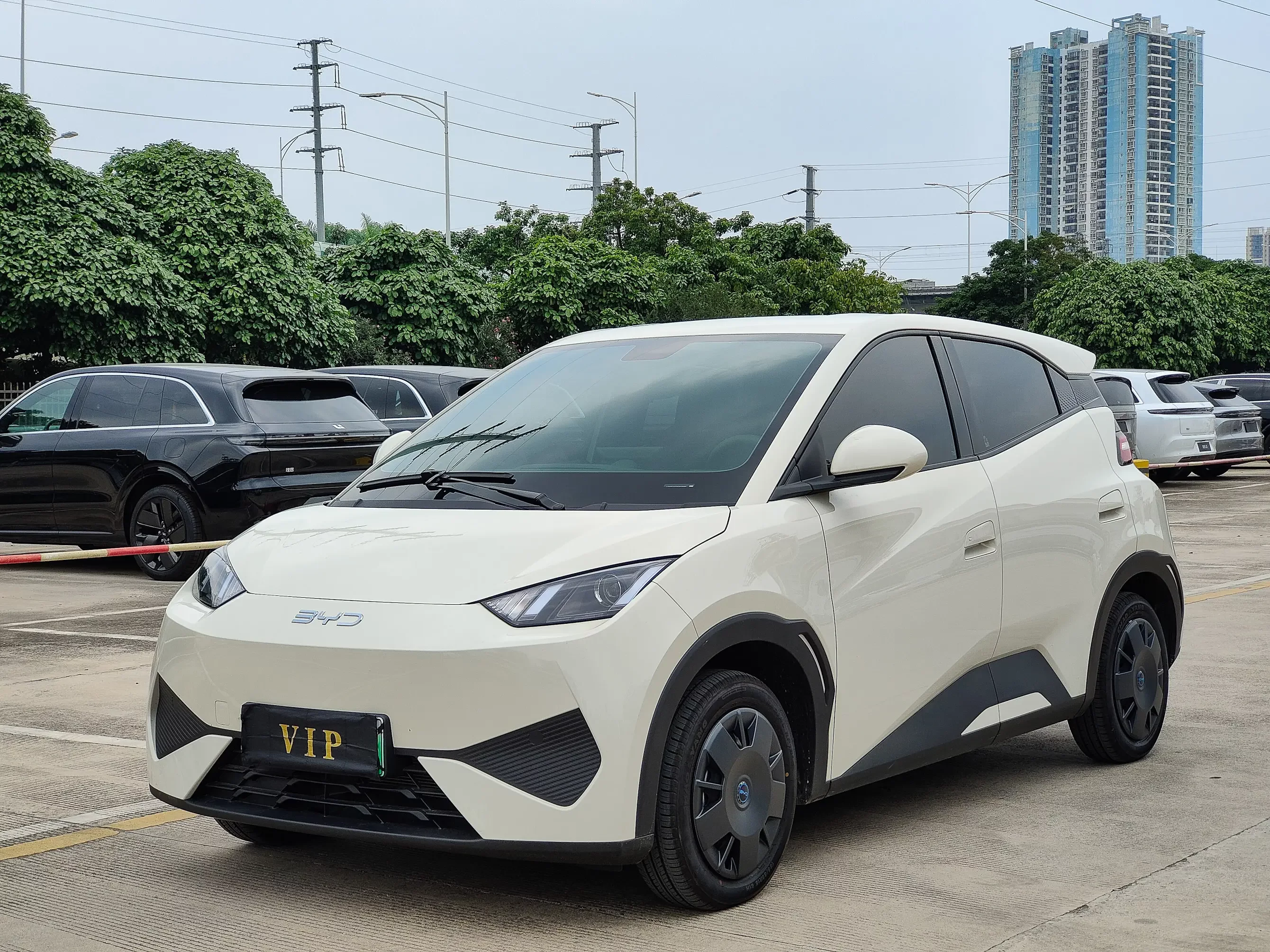 BYD seagull