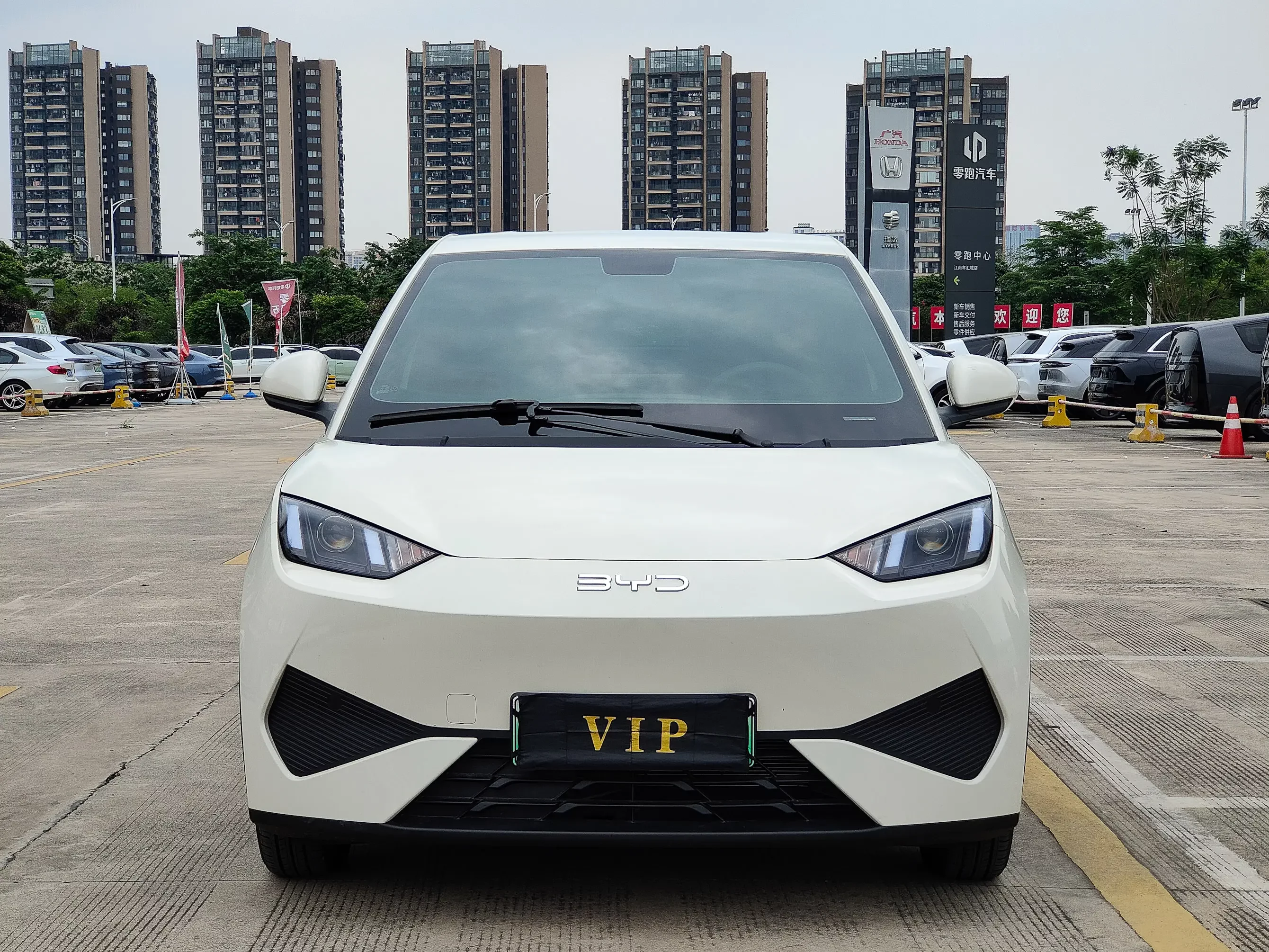 BYD seagull