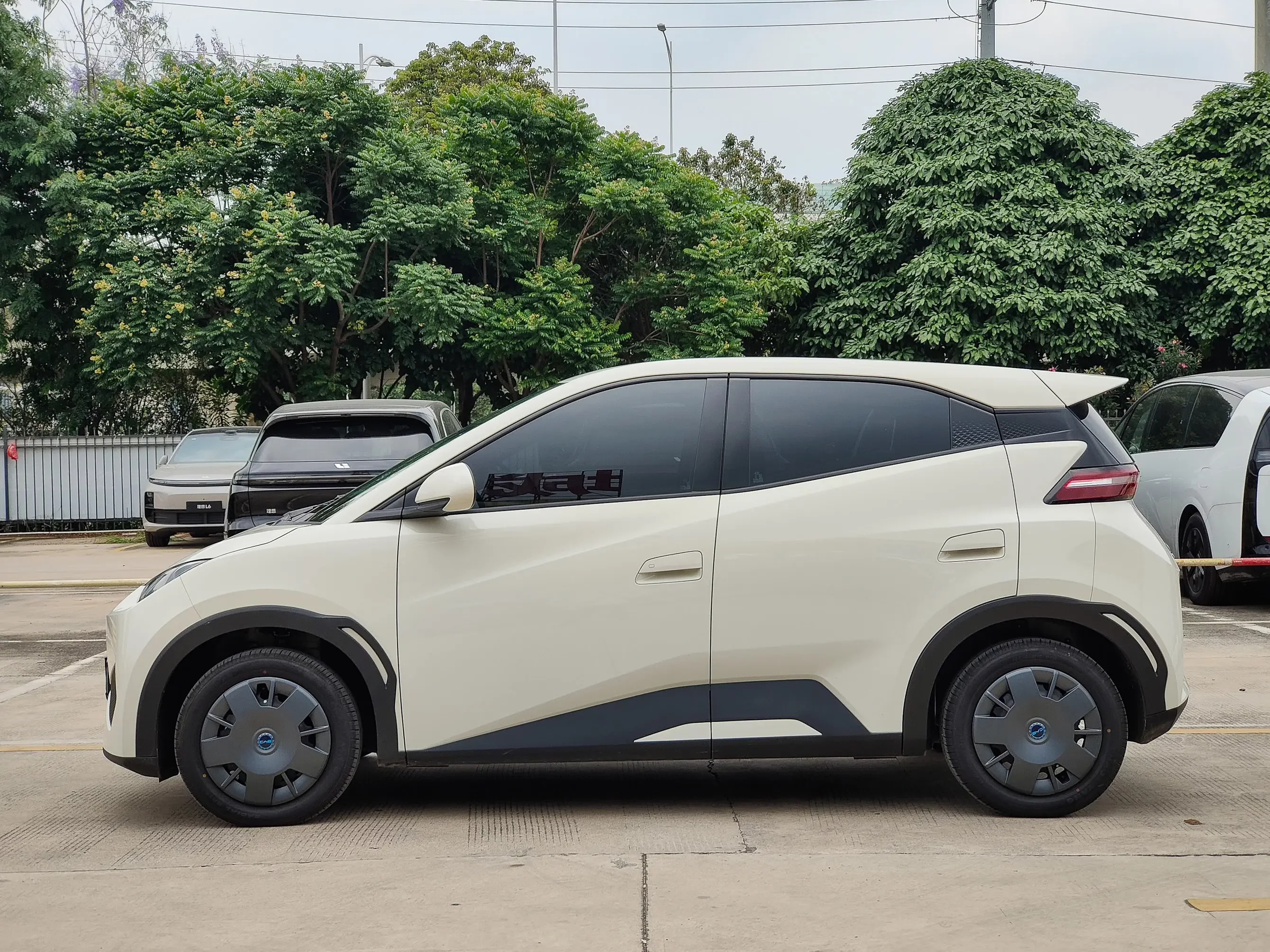 BYD seagull
