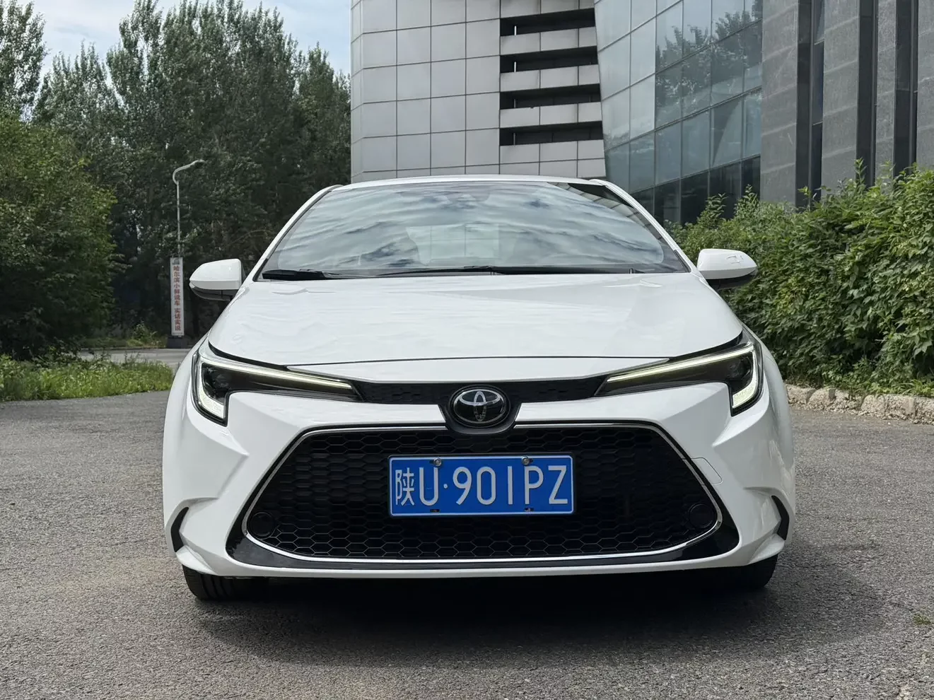 Toyota Levin
