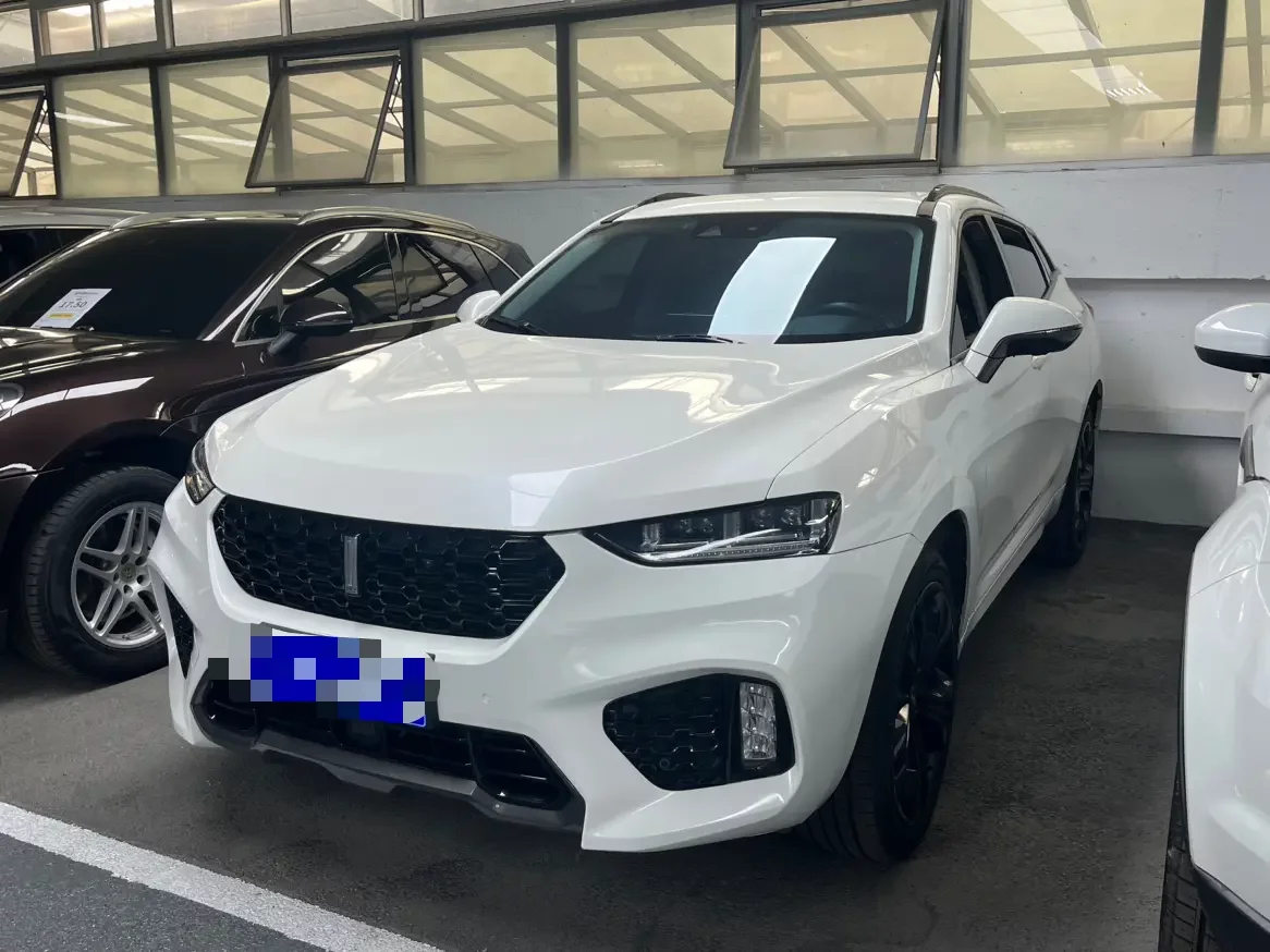 Wey Wei brand VV7
