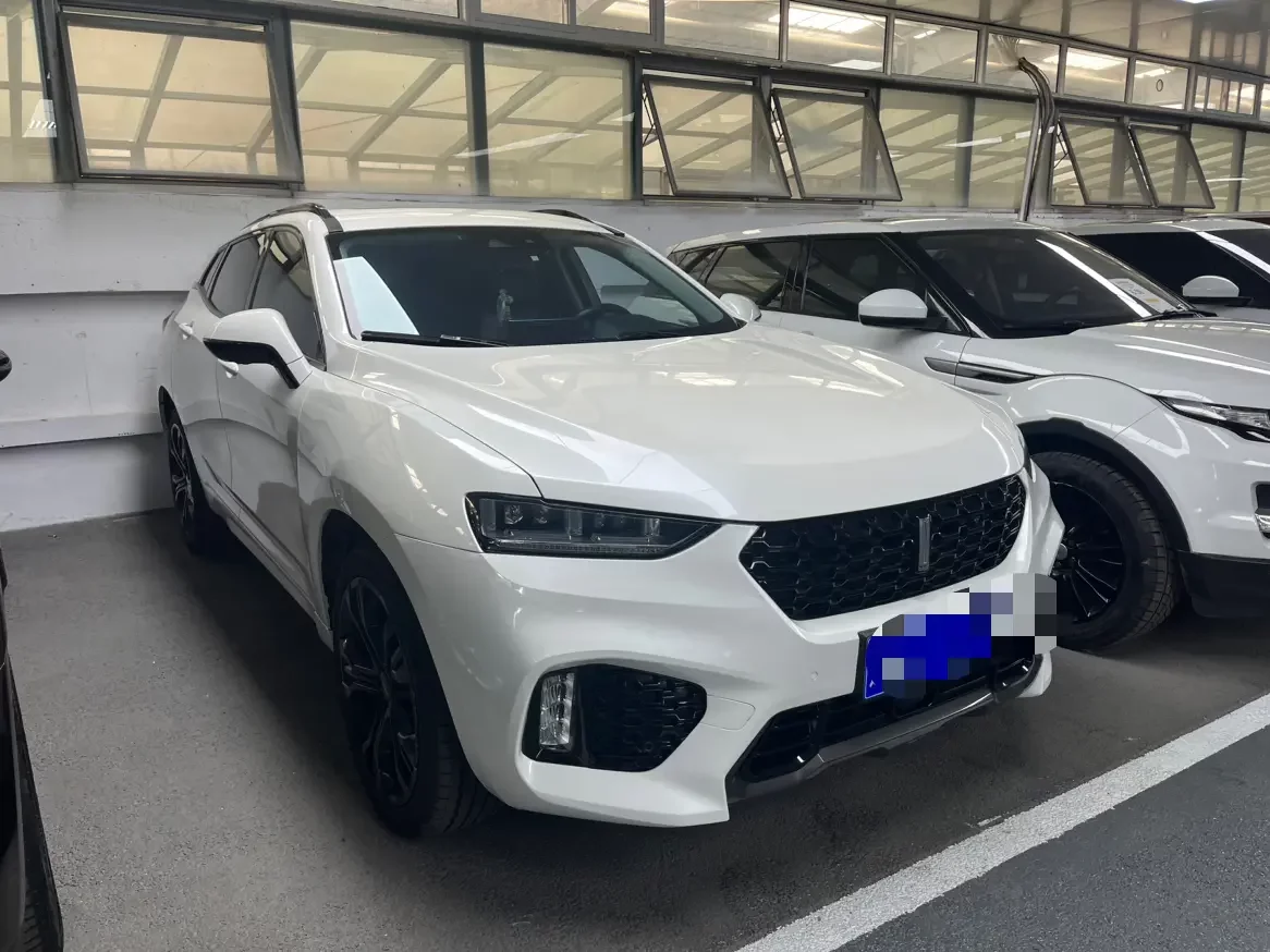 Wey Wei brand VV7