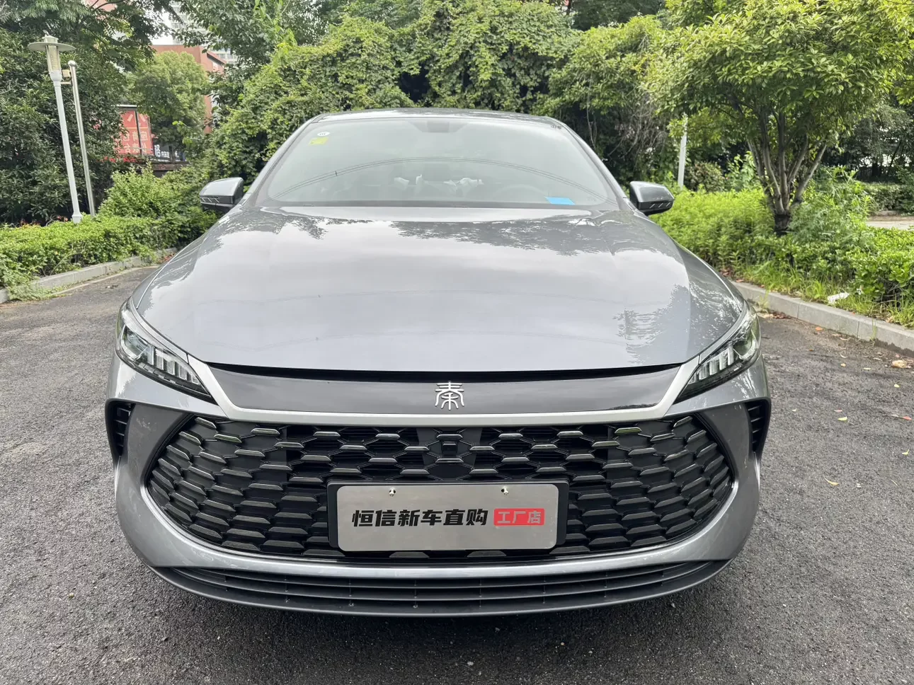 BYD Qin PLUS DM