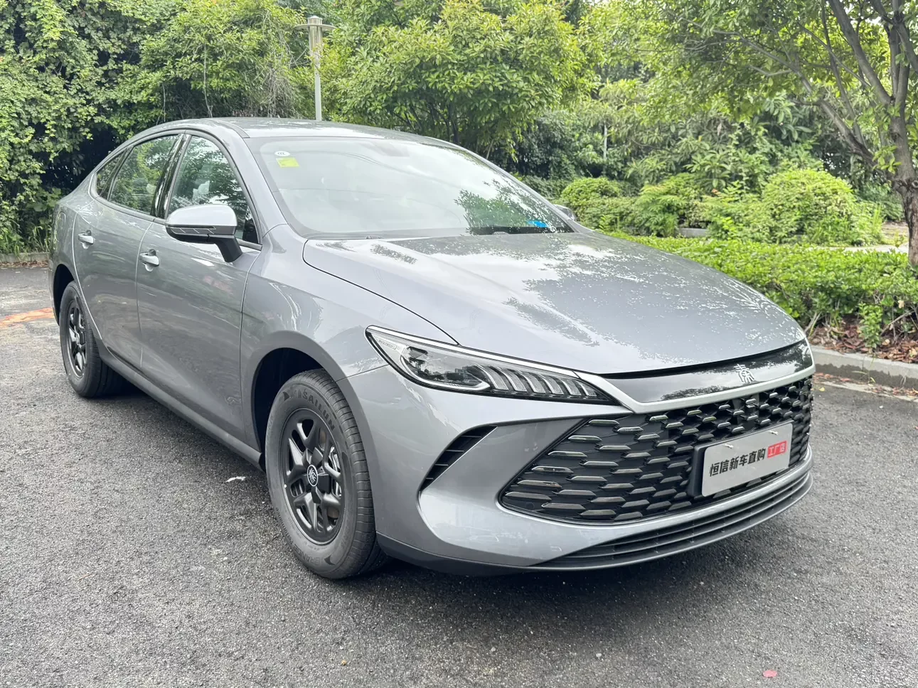 BYD Qin PLUS DM