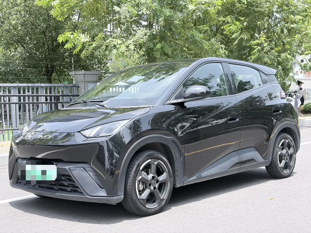 BYD seagull
