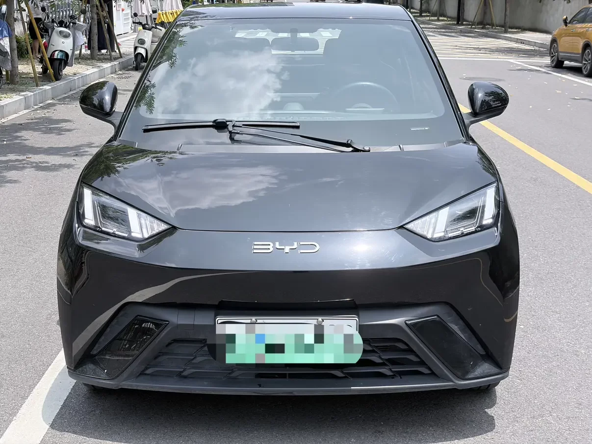 BYD seagull