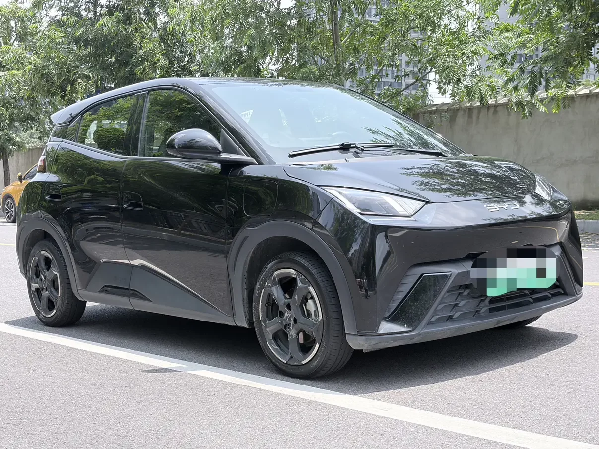 BYD seagull