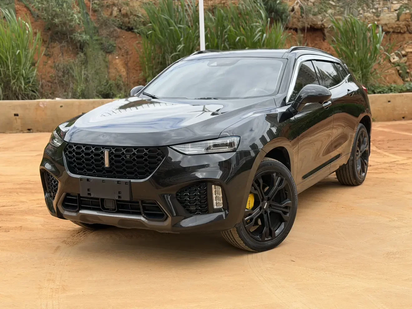 Wey Wei brand VV7